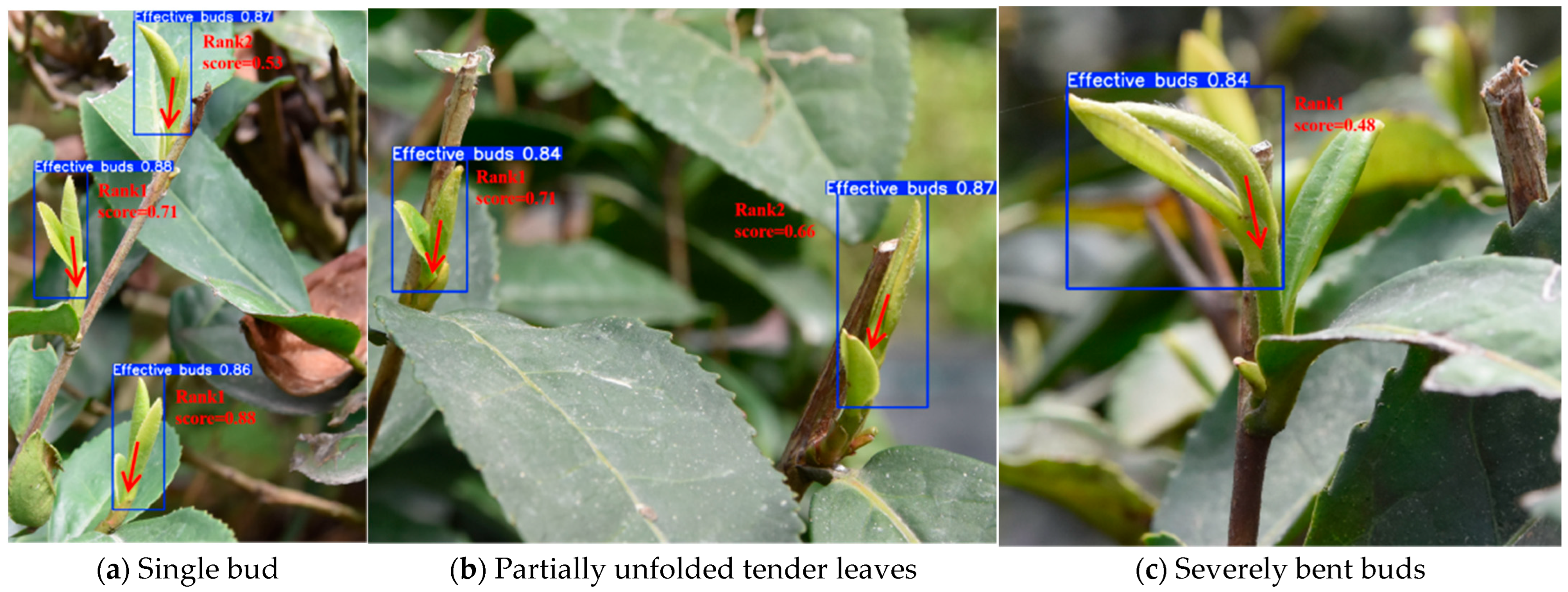 Processes 13 03658 g013