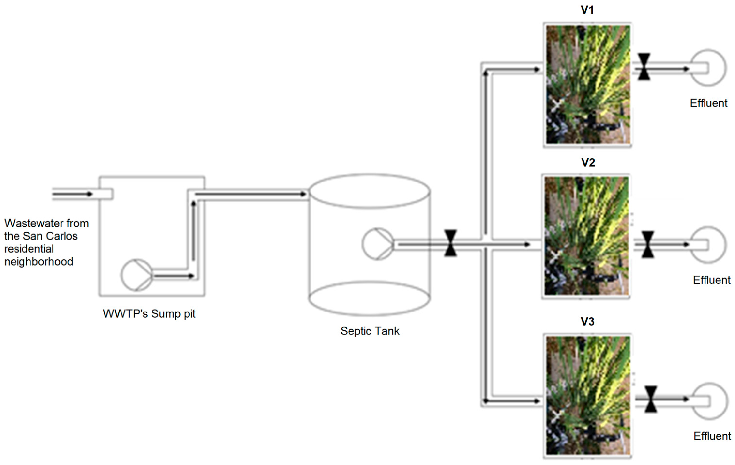 Processes 13 03679 g002