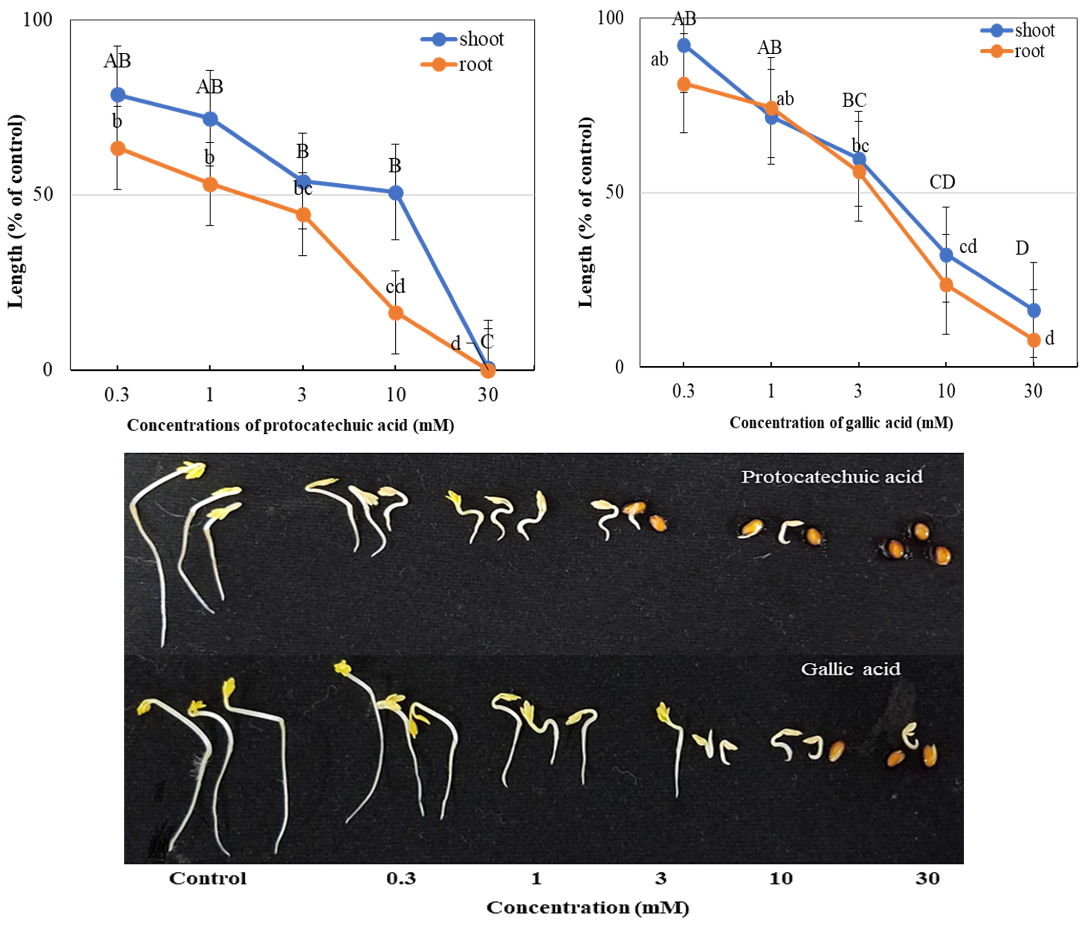Processes 13 03691 g005 Processes 13 03691 g005