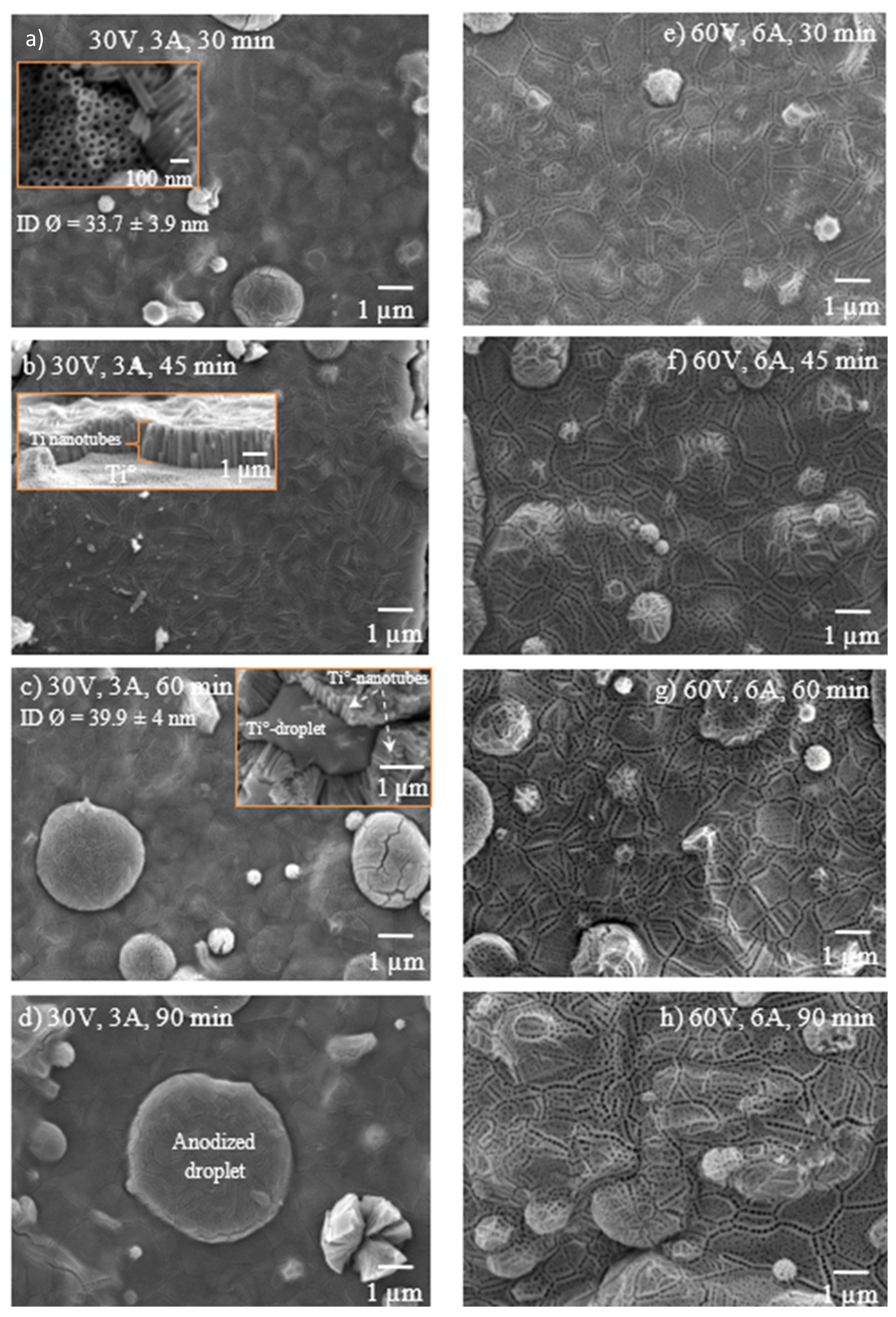 Processes 13 03692 g004 Processes 13 03692 g004