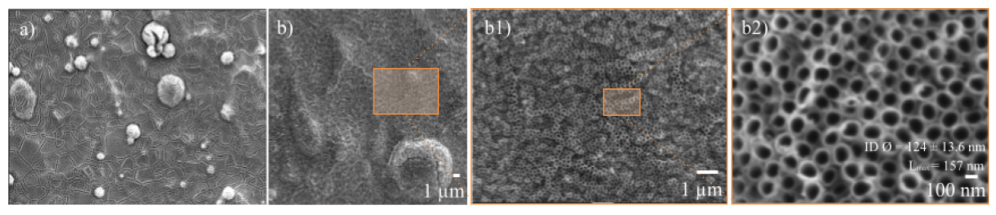 Processes 13 03692 g006 Processes 13 03692 g006