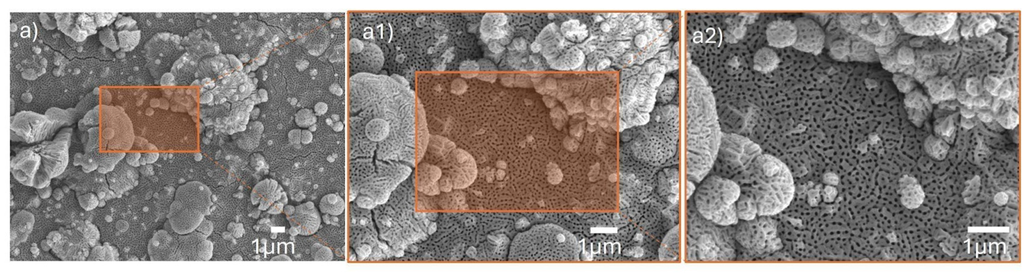 Processes 13 03692 g008 Processes 13 03692 g008