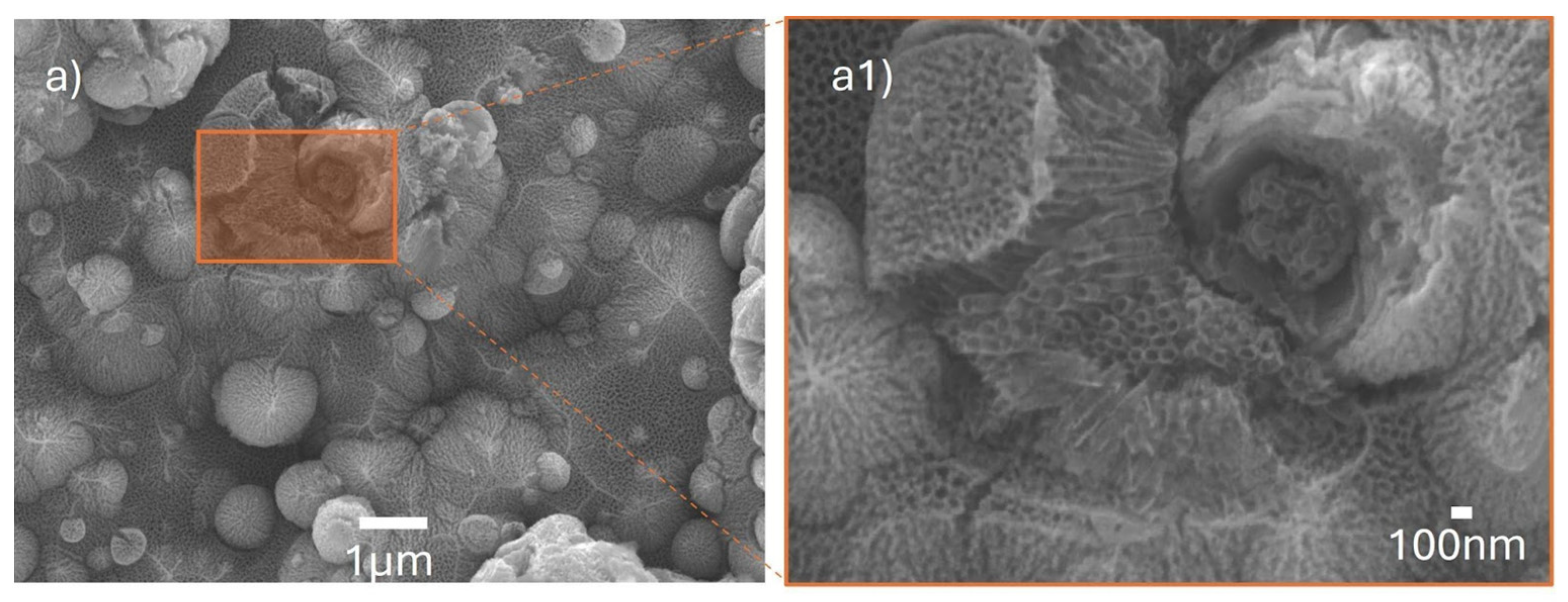 Processes 13 03692 g010 Processes 13 03692 g010