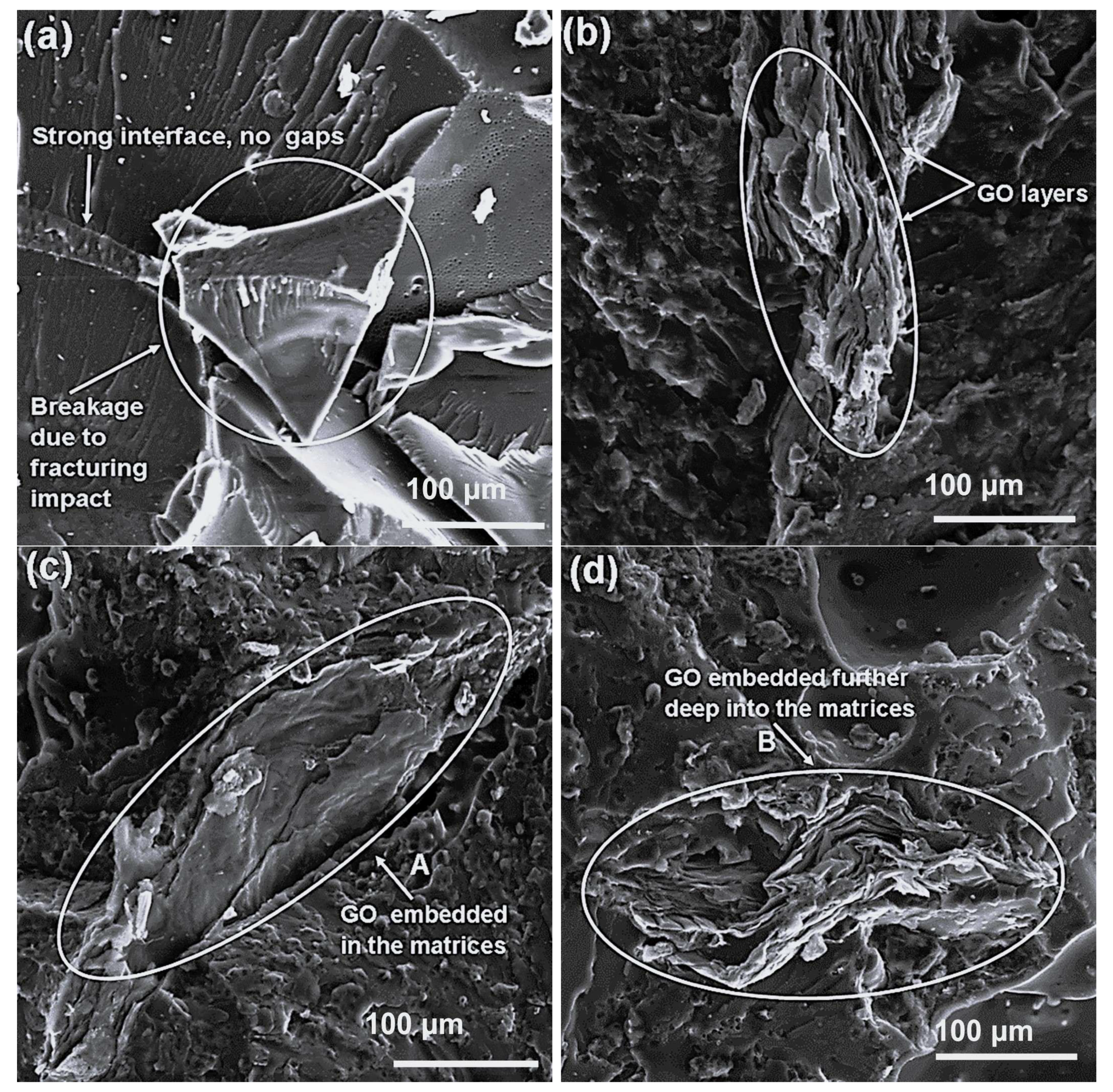 Processes 13 03697 g006