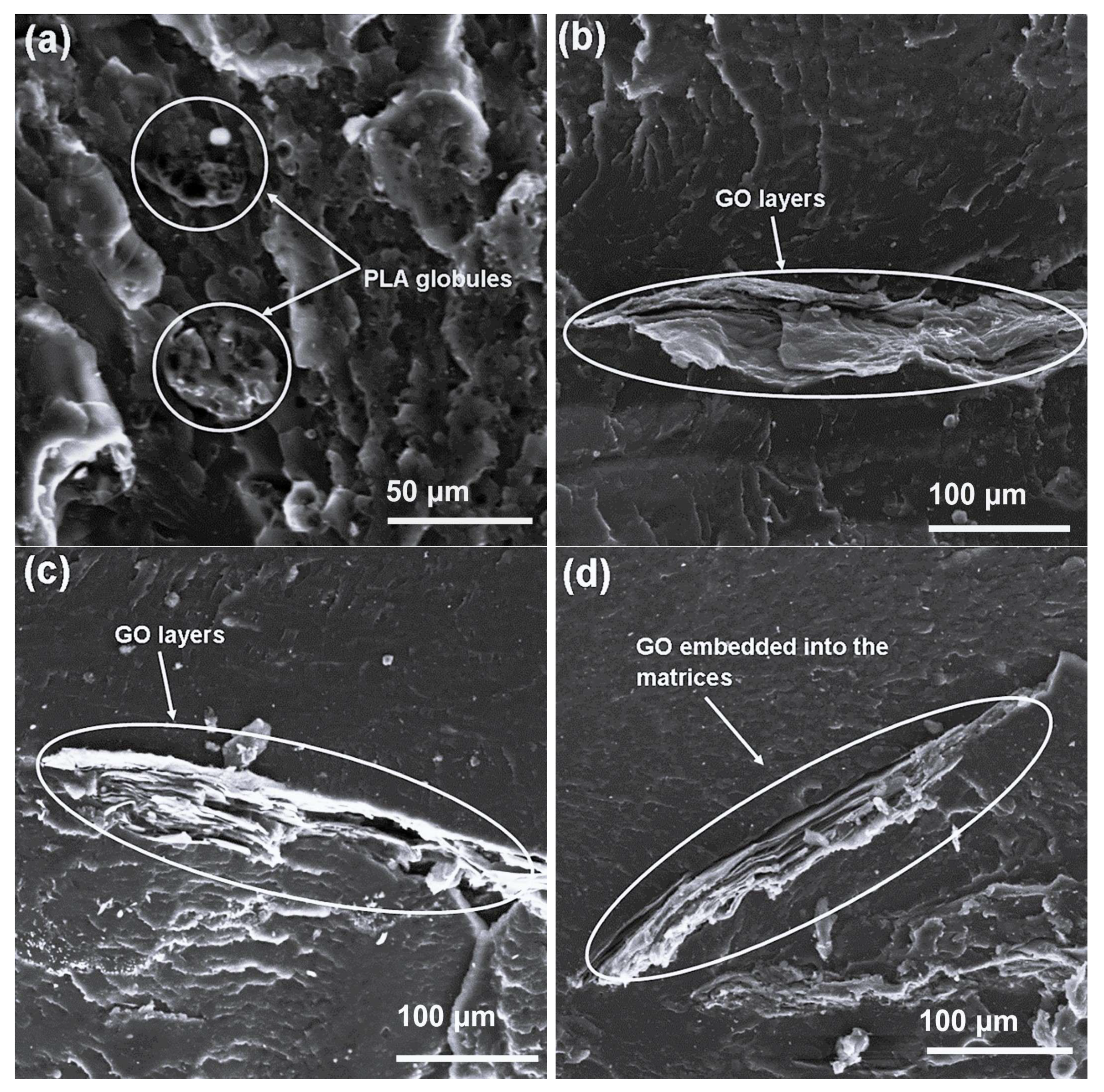 Processes 13 03697 g007
