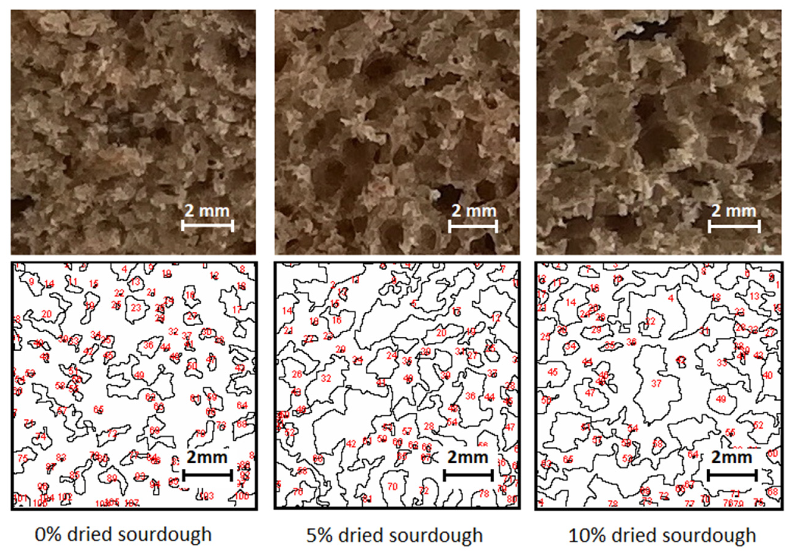 Processes 13 03699 g004 Processes 13 03699 g004