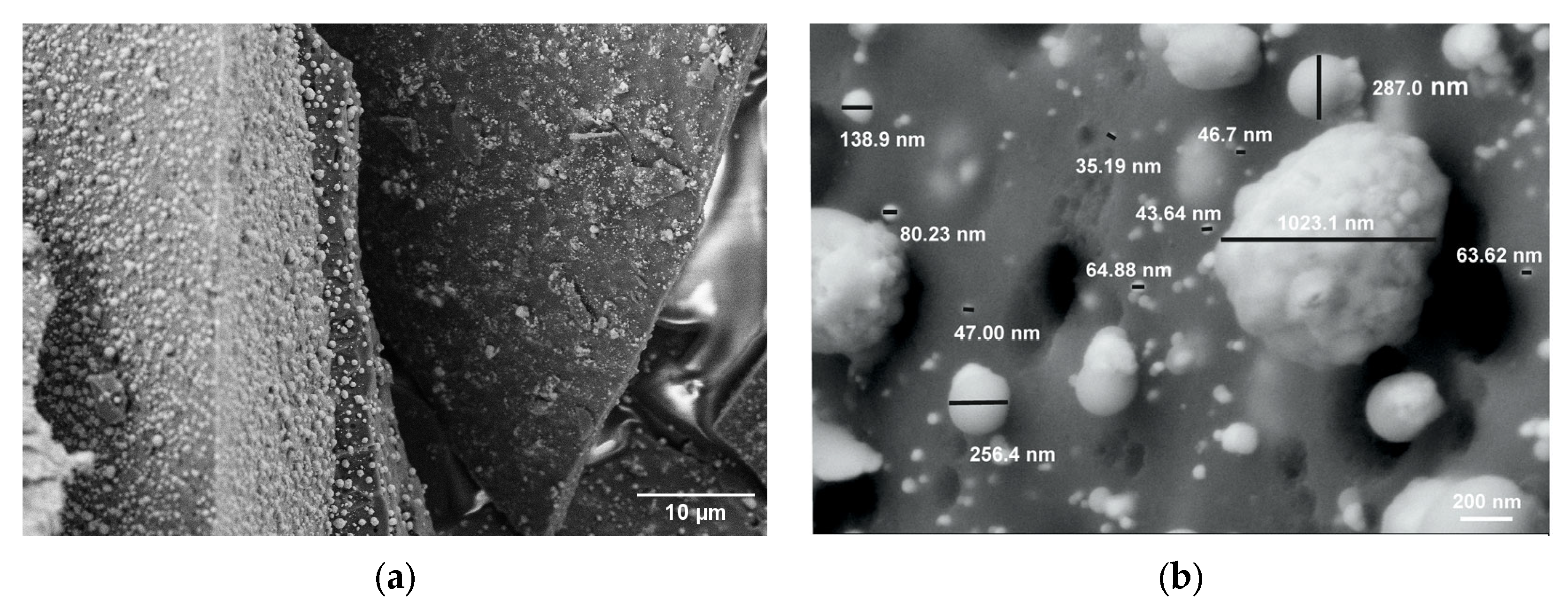 Processes 13 03709 g004