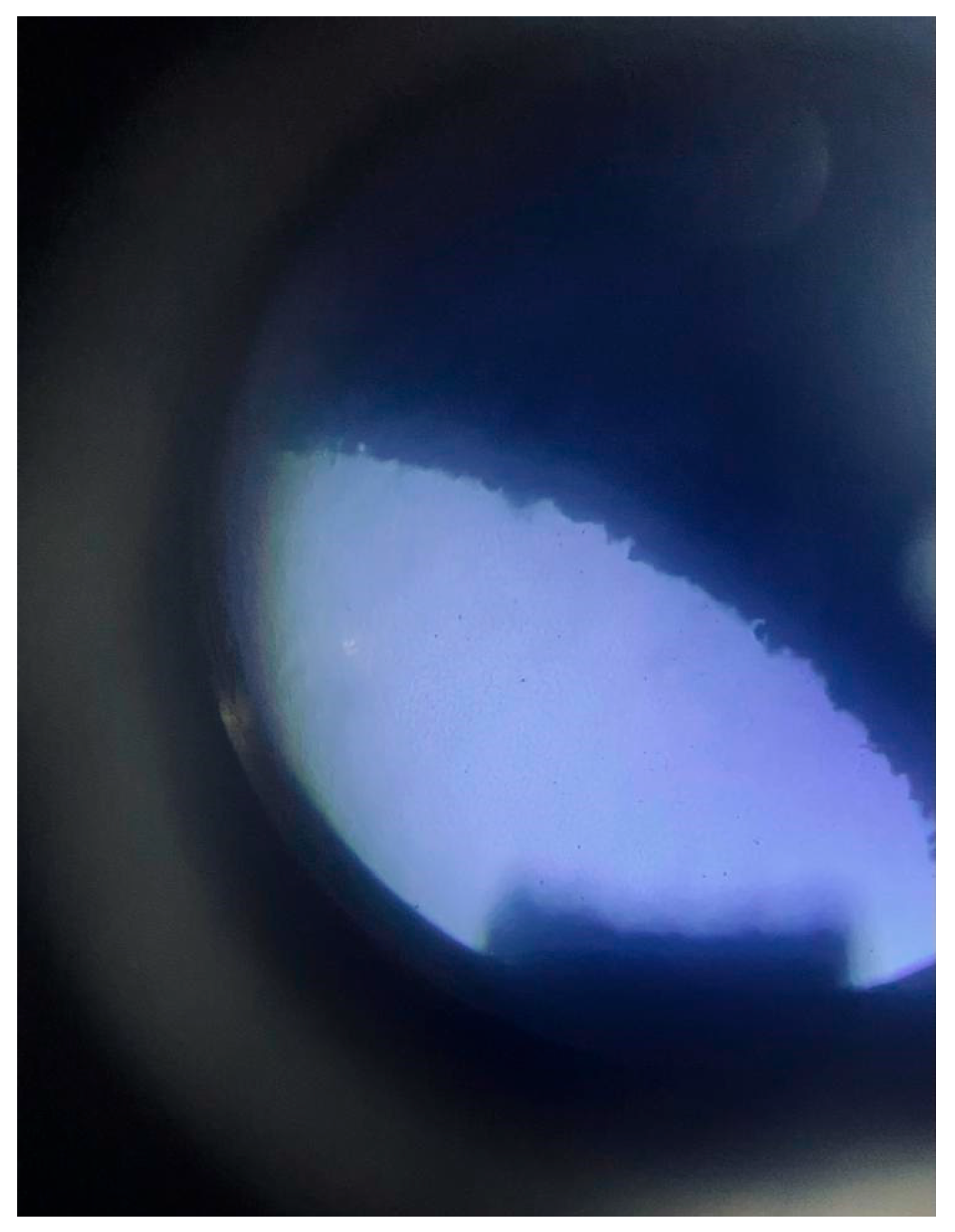 Processes 13 03713 g005