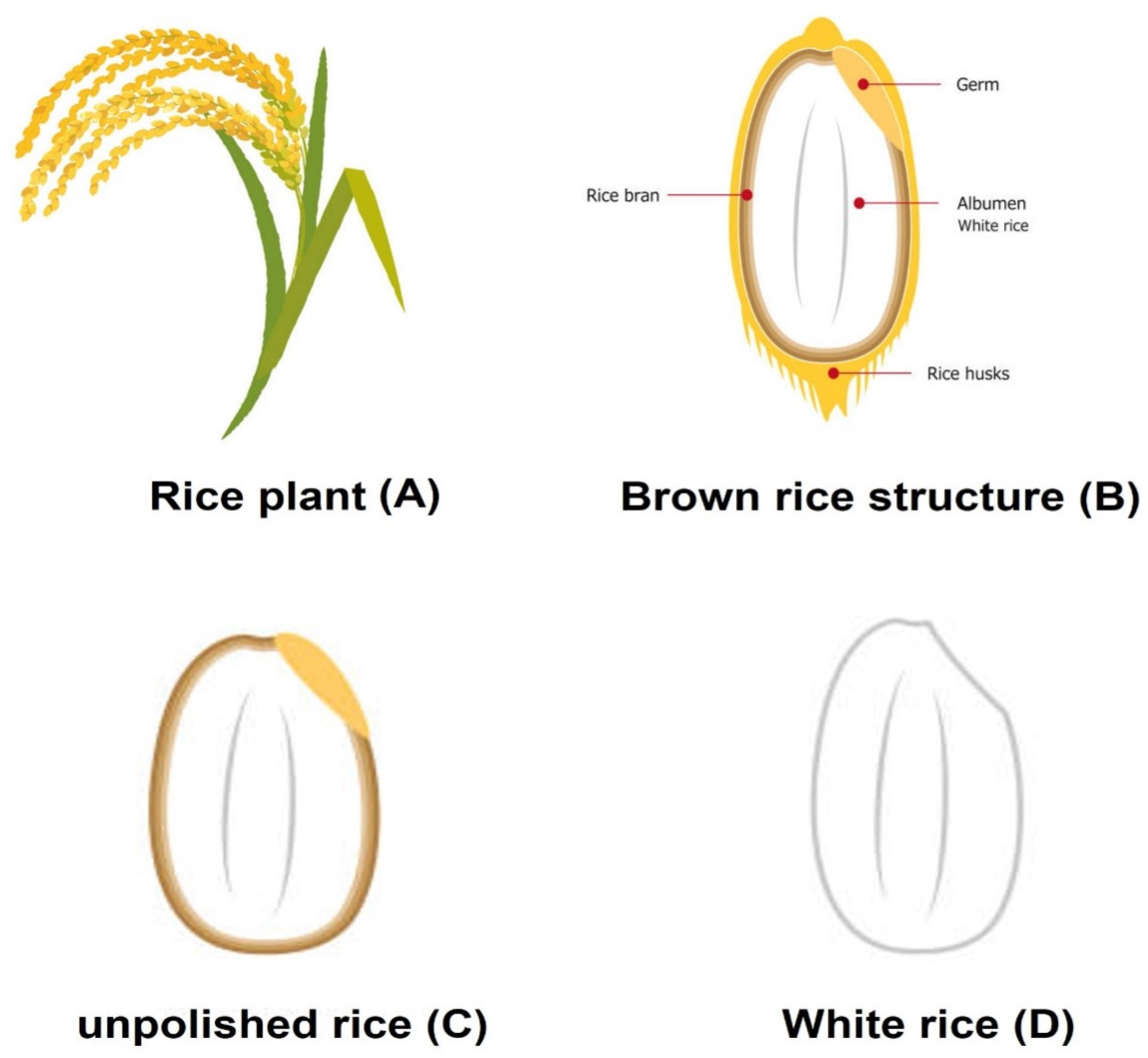 Processes 13 03731 g001