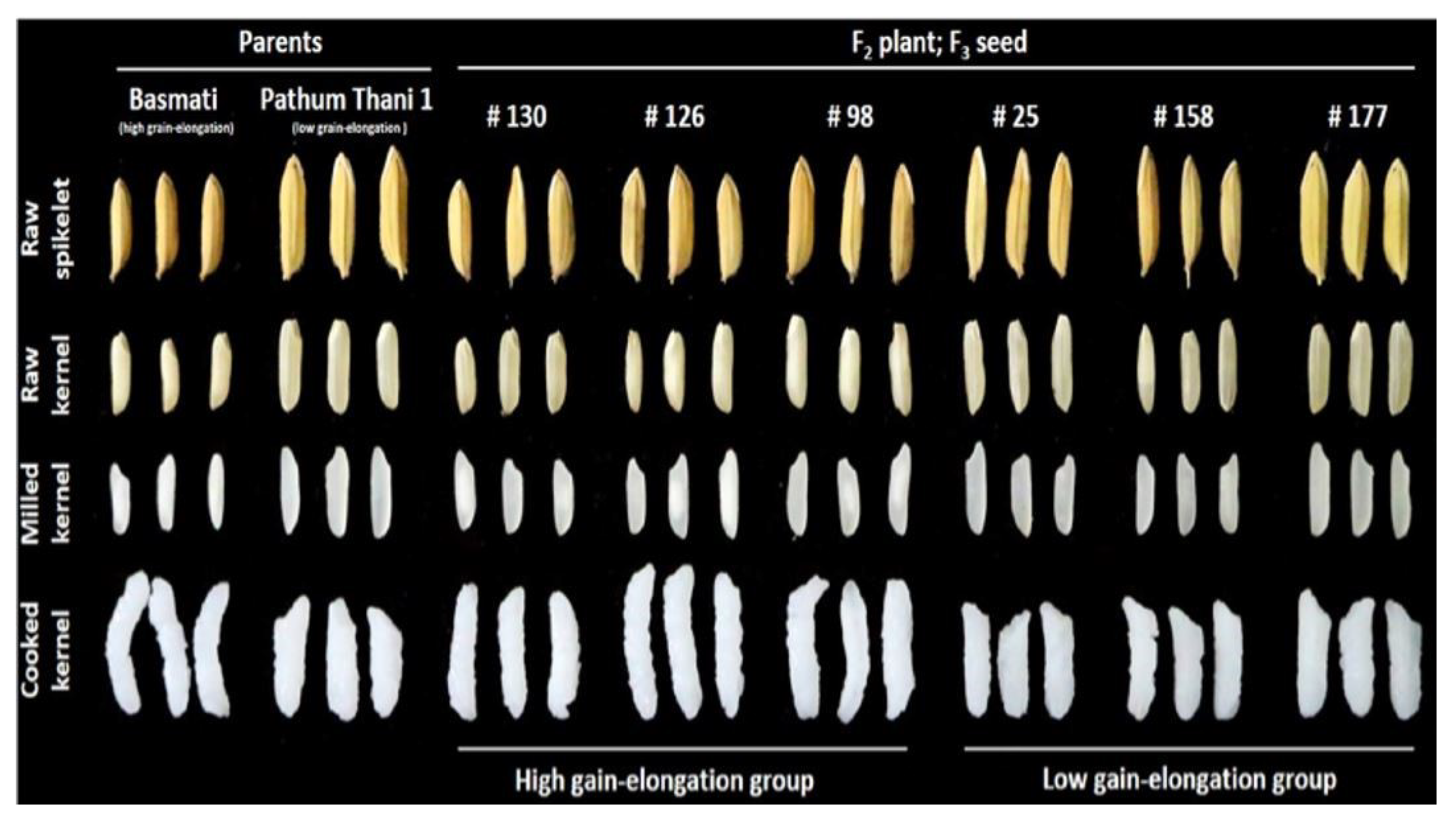 Processes 13 03731 g005