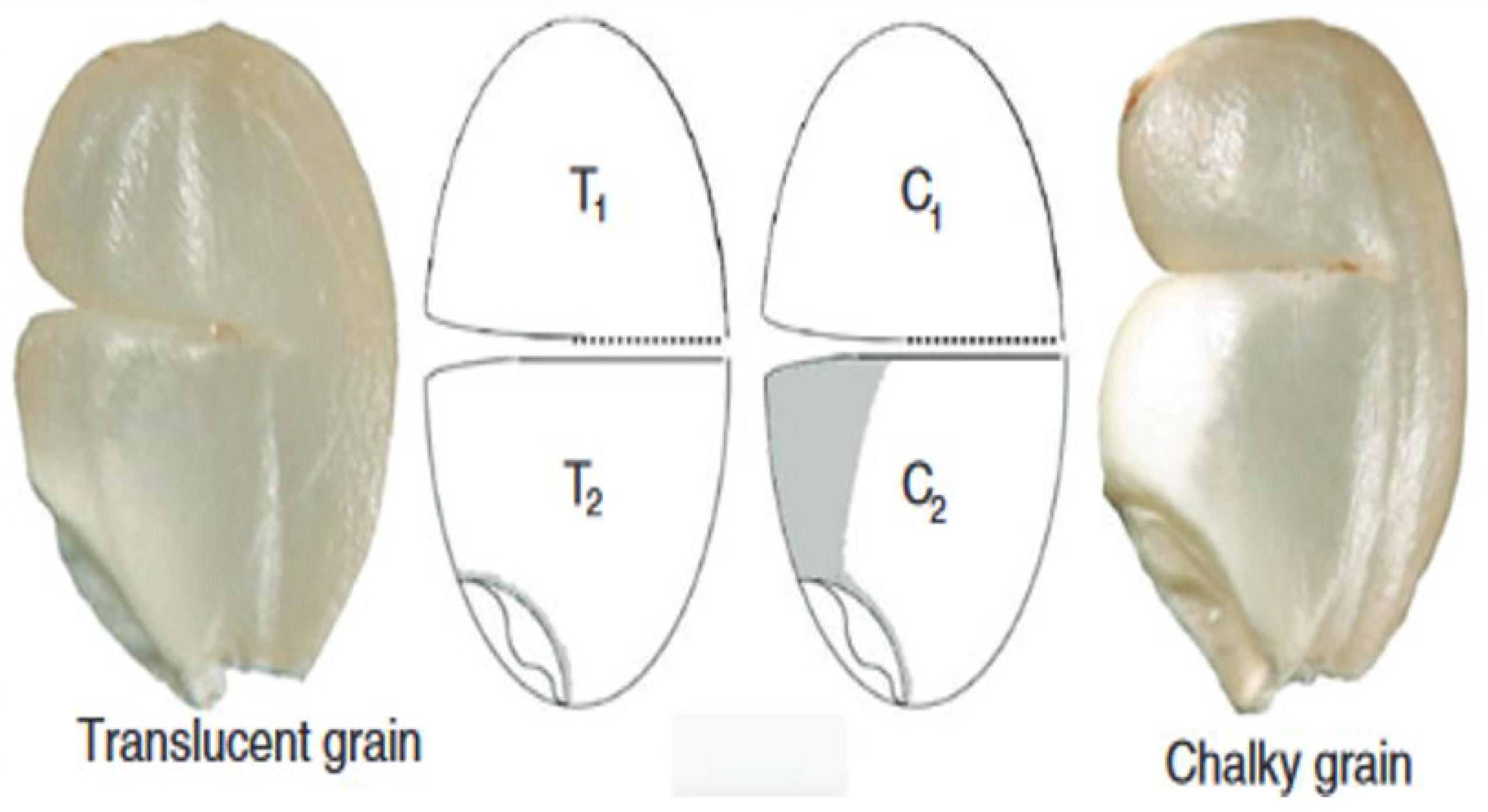 Processes 13 03731 g006