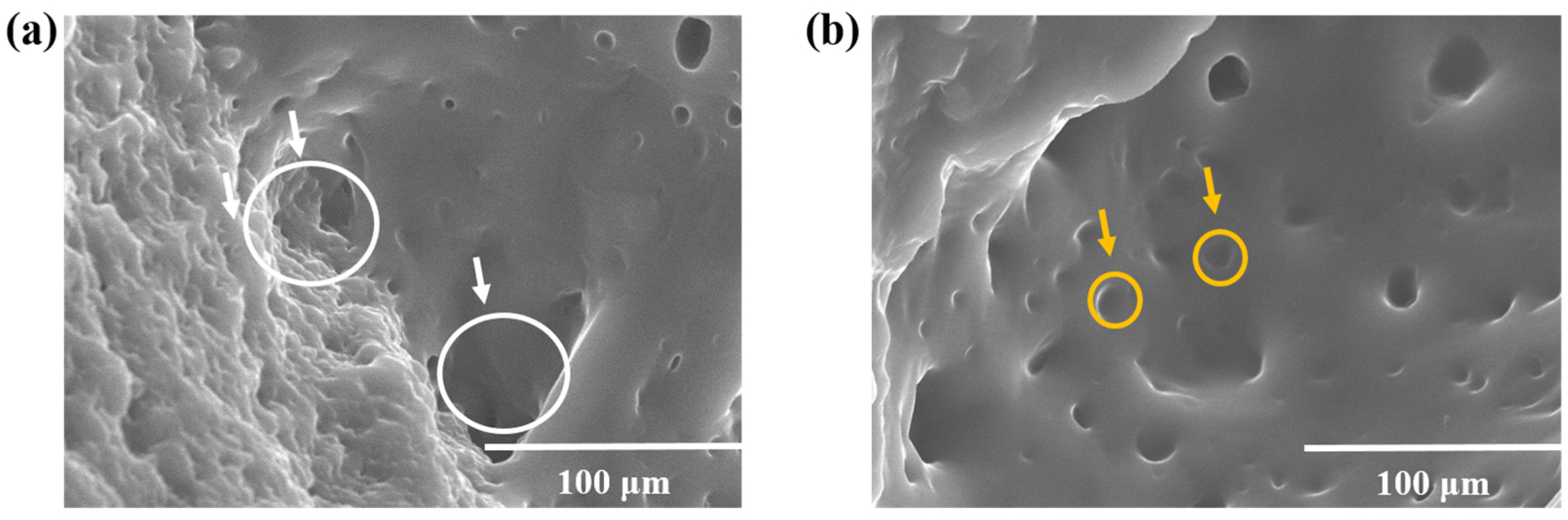 Processes 13 03743 g004