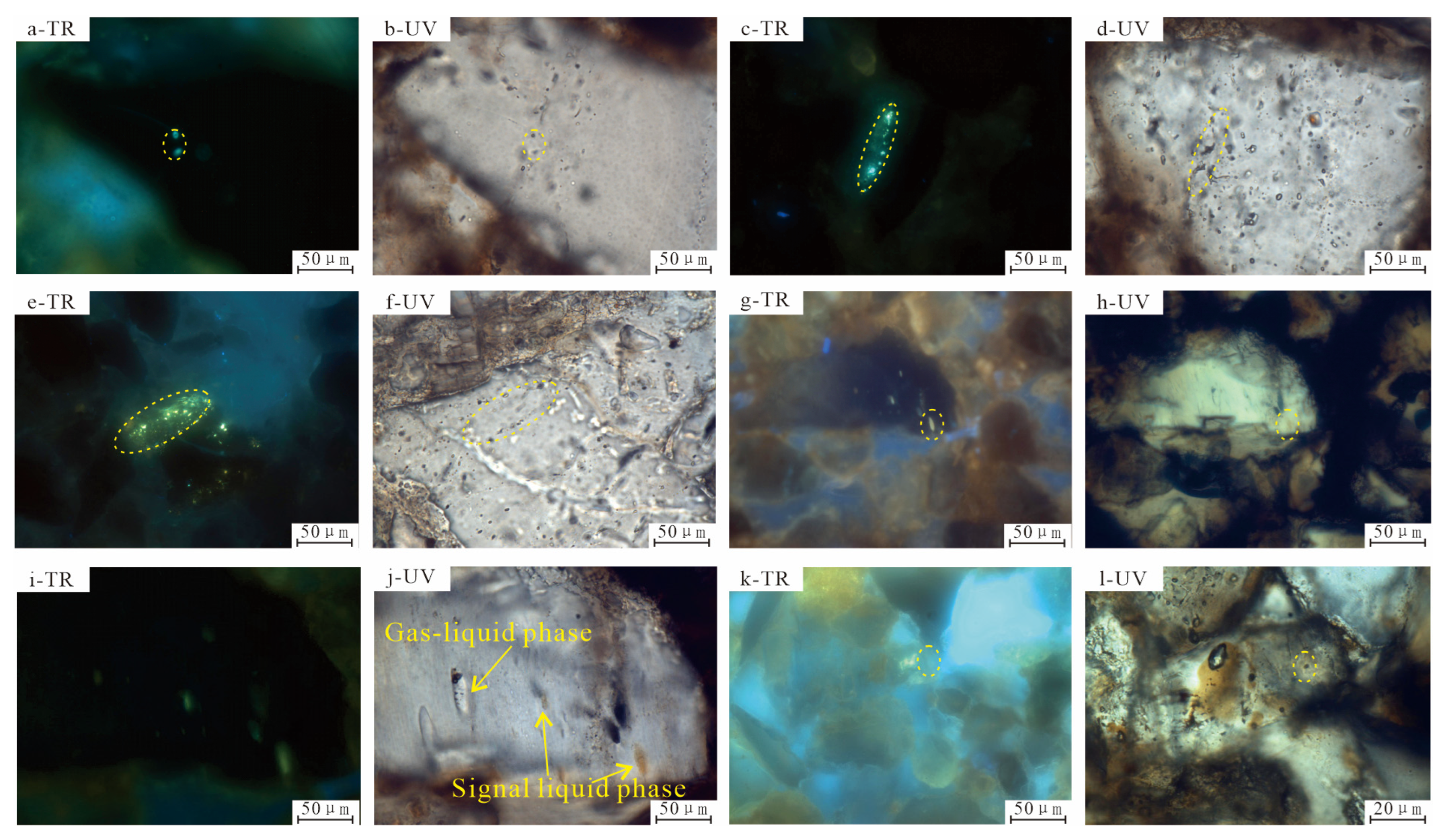 Processes 13 03744 g003