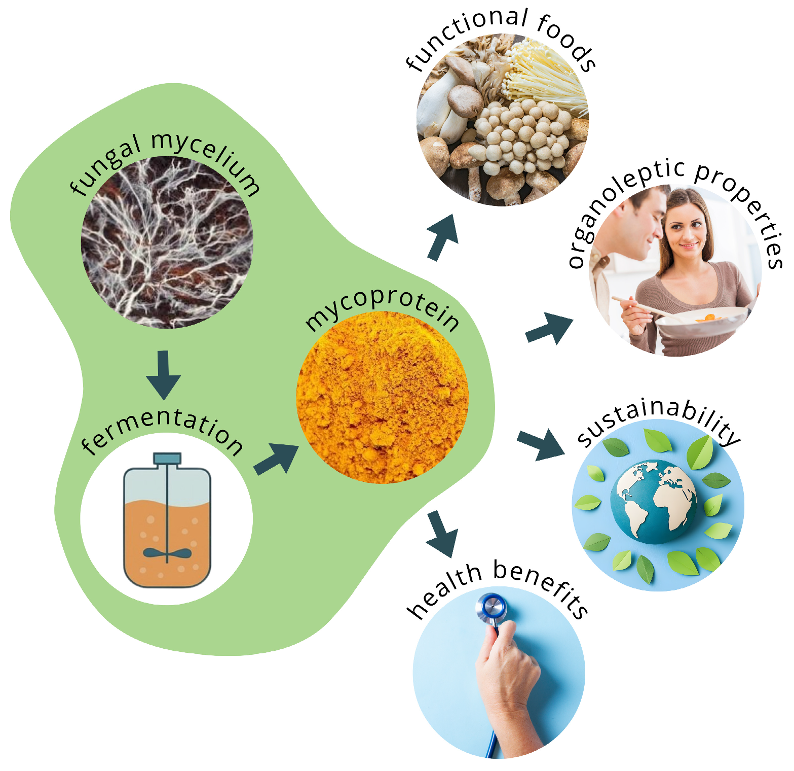 Processes 13 03746 g001