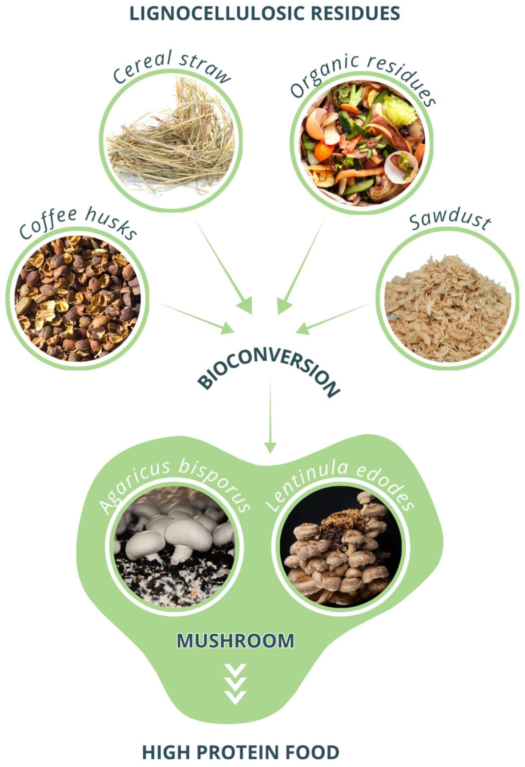 Processes 13 03746 g002