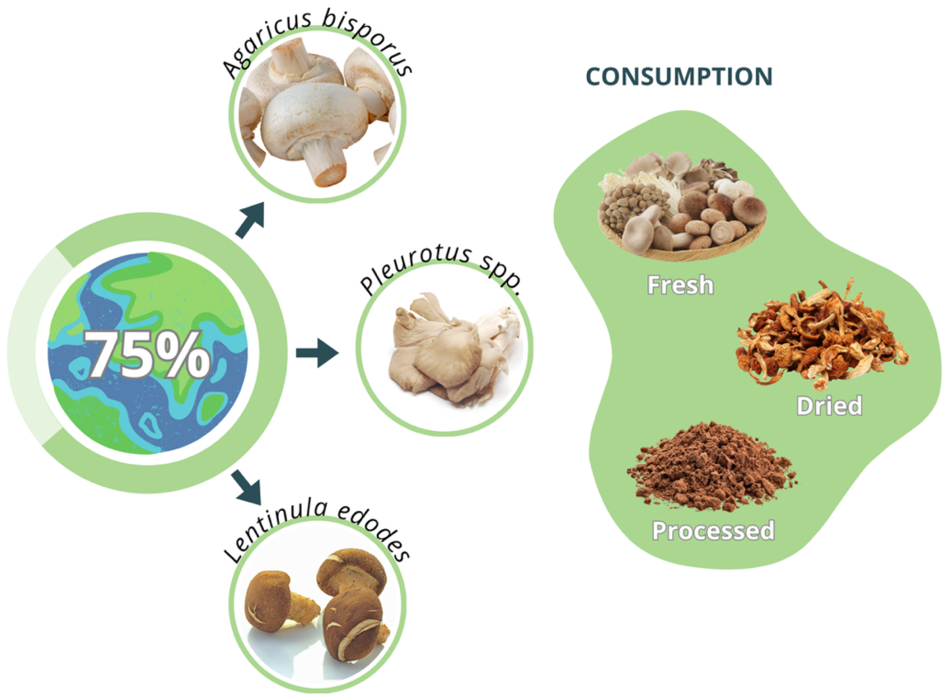 Processes 13 03746 g003