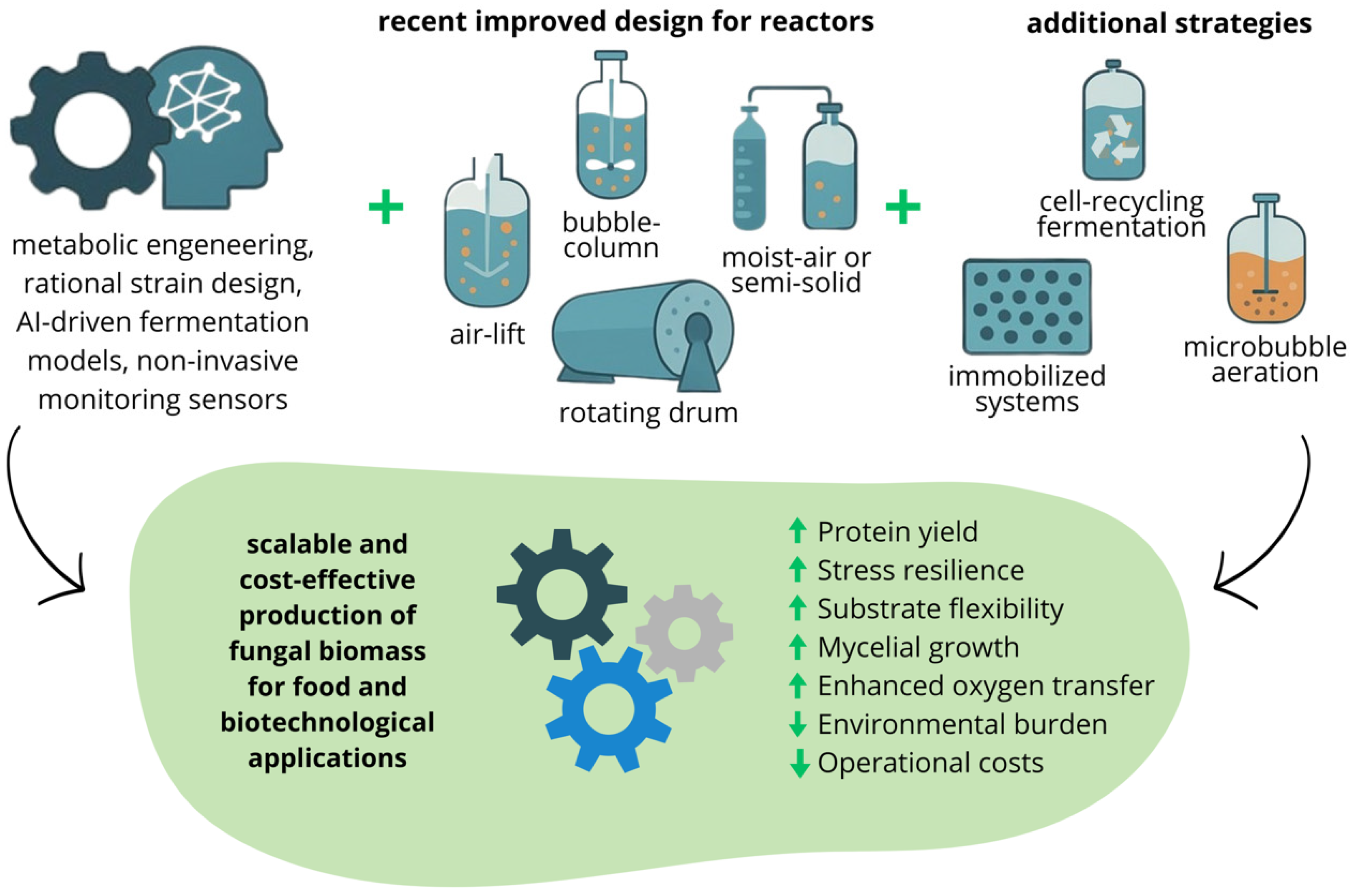 Processes 13 03746 g004