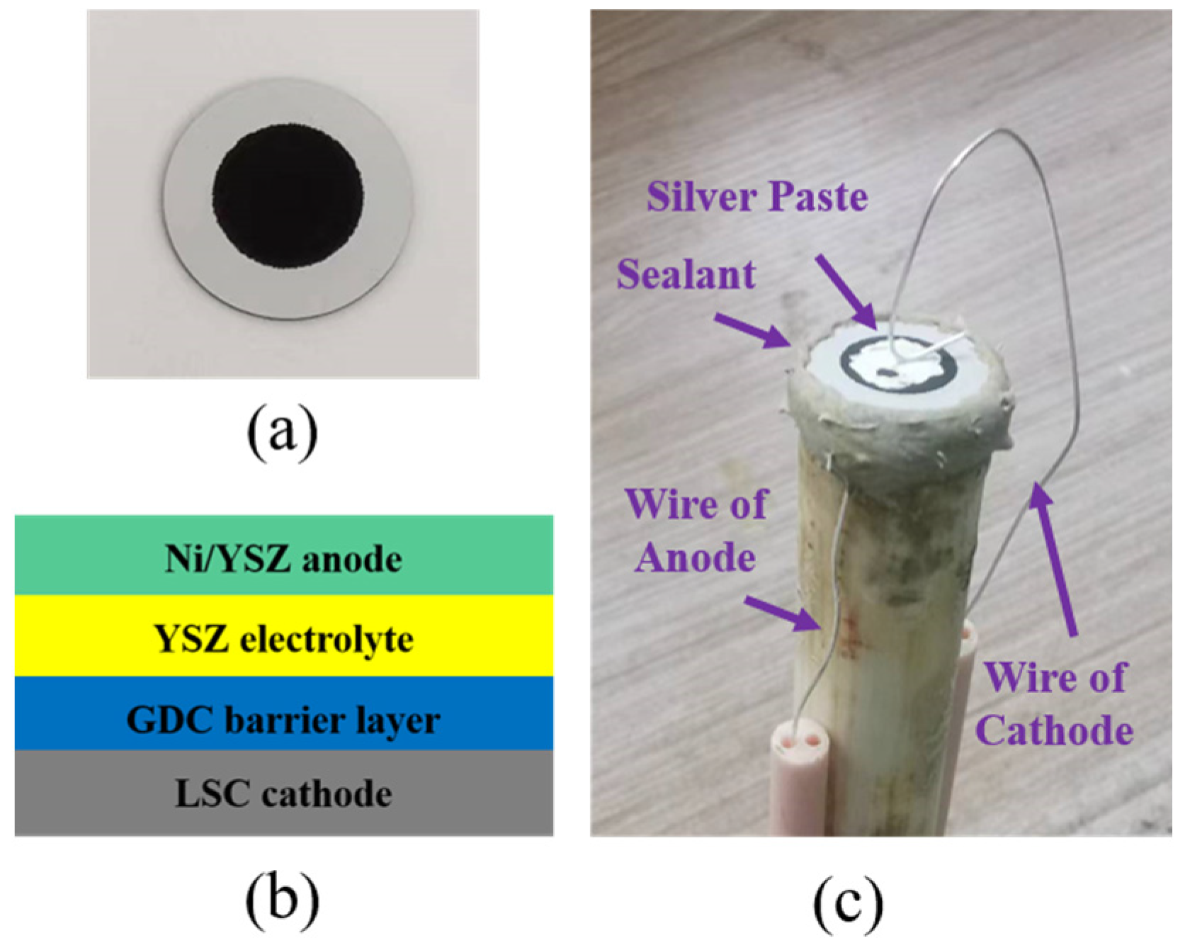 Processes 13 03747 g001