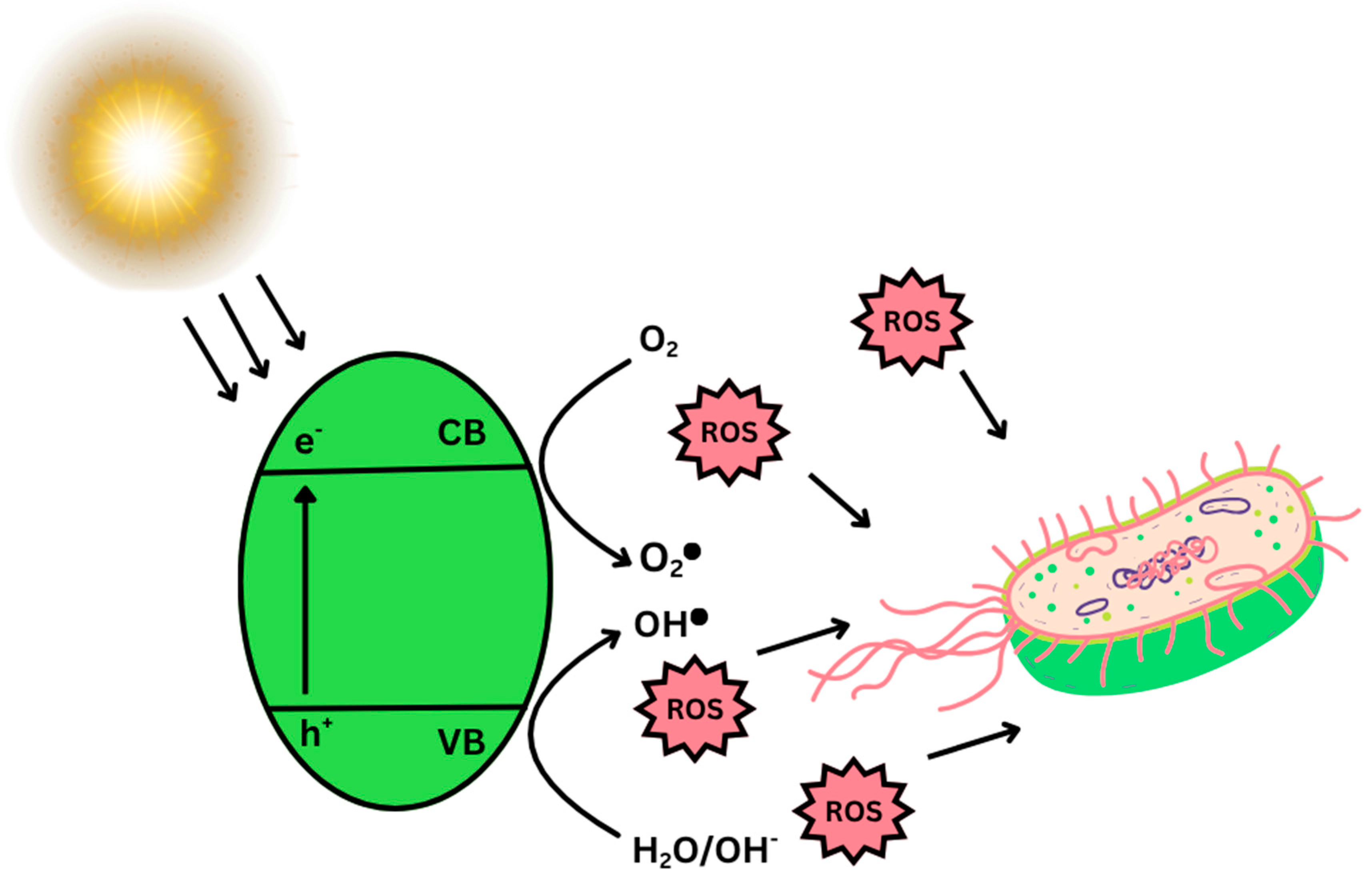 Processes 13 03757 g013