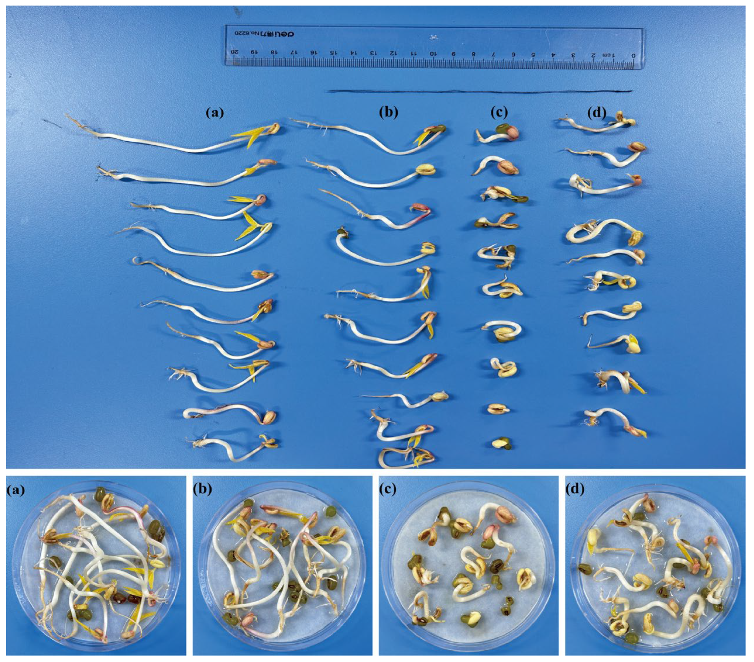 Processes 13 03763 g004