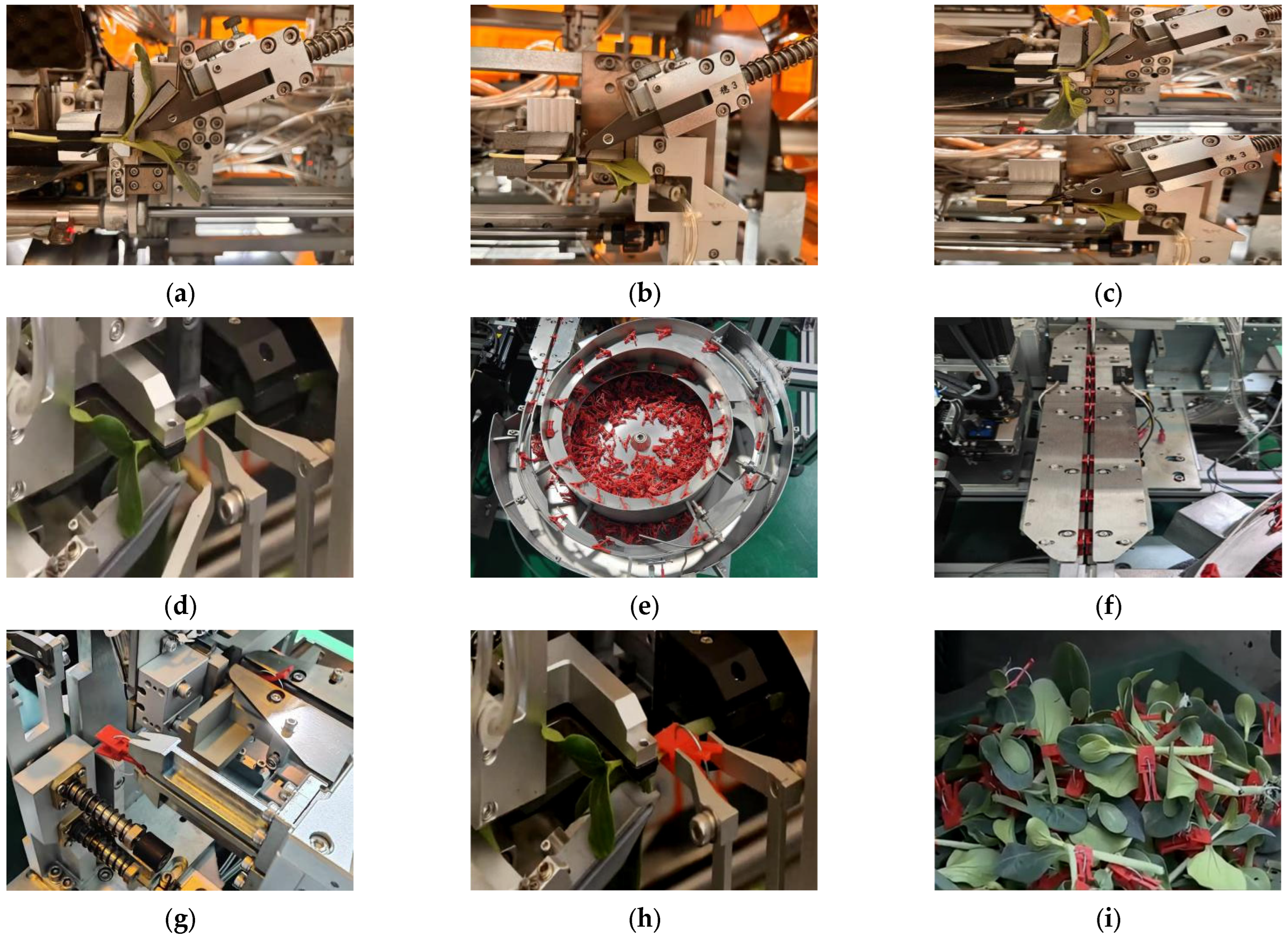 Processes 13 03788 g020