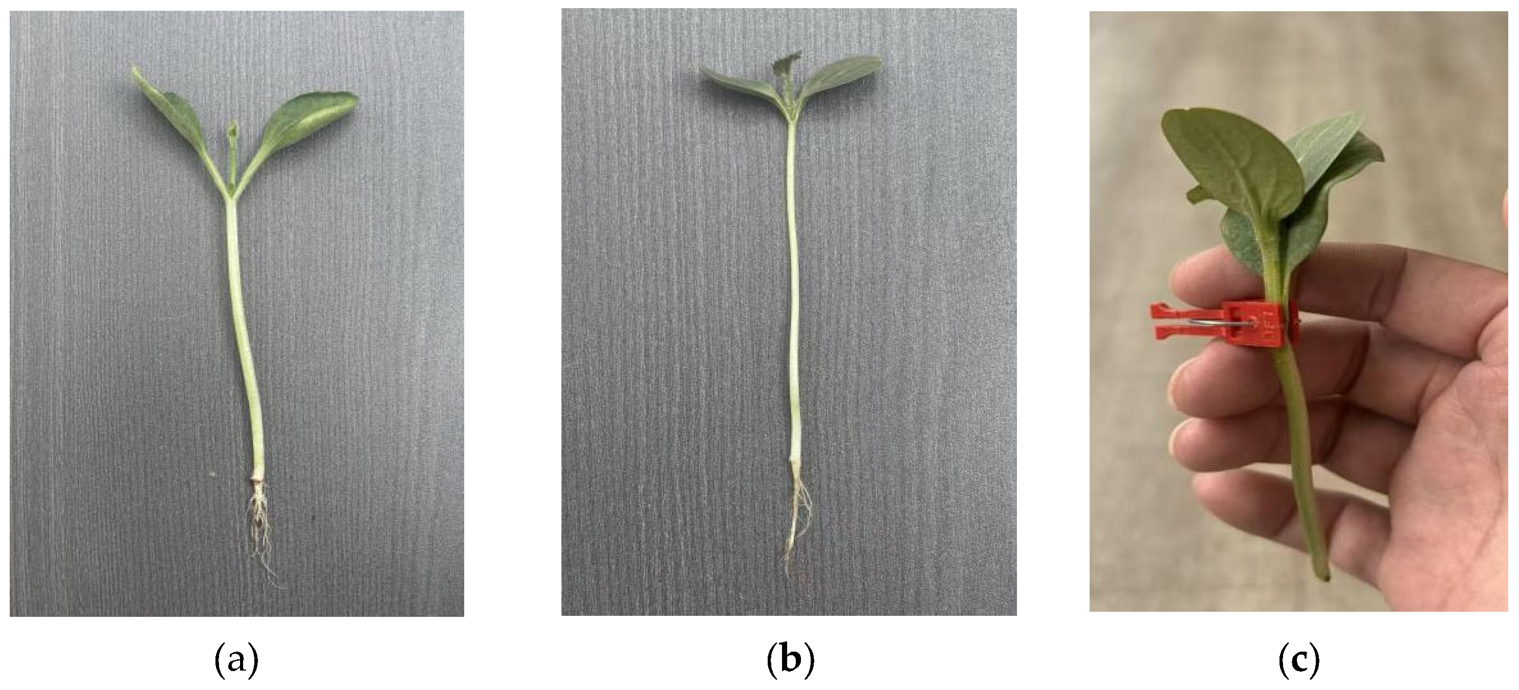 Processes 13 03788 g021