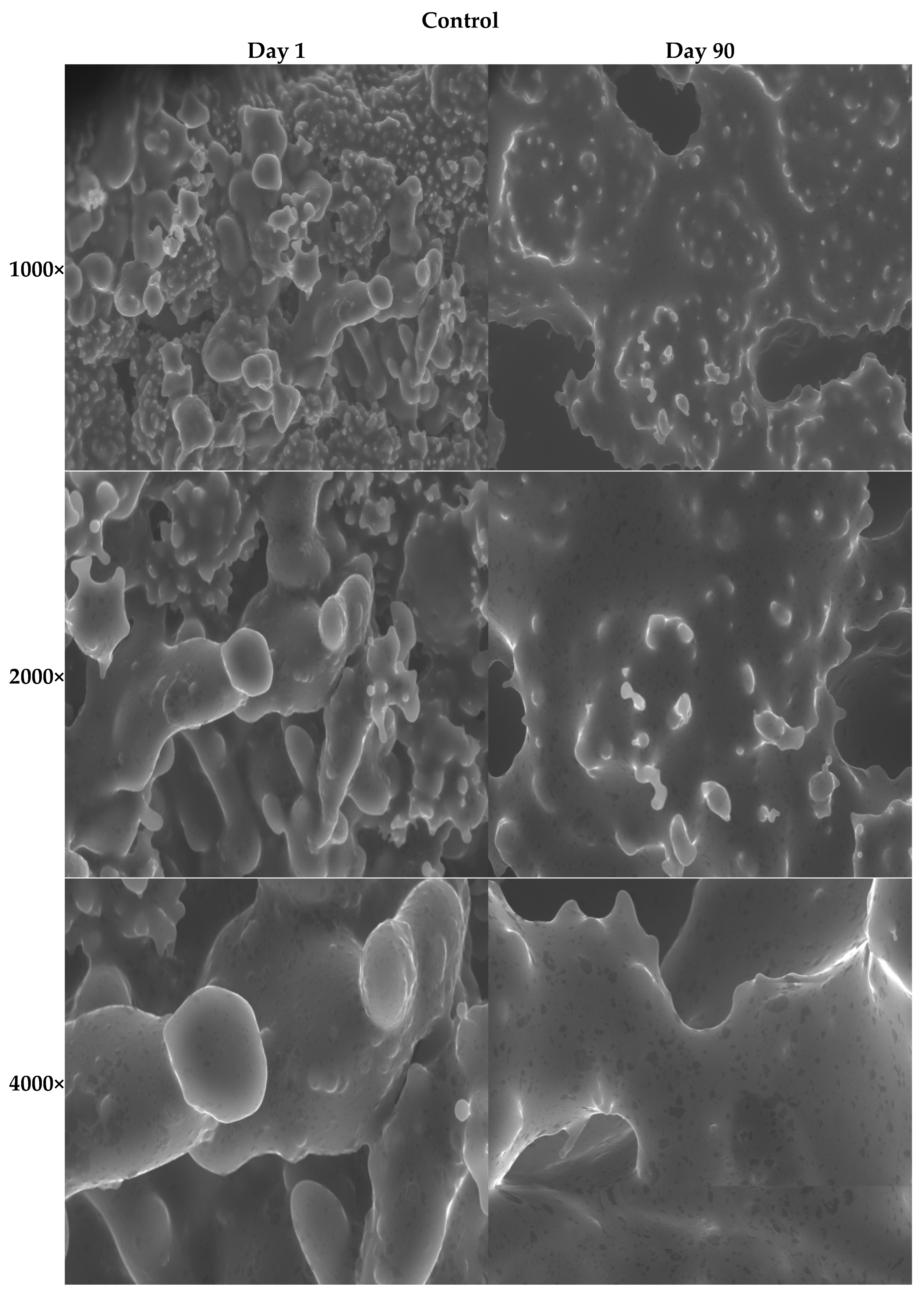 Processes 13 03803 g003a