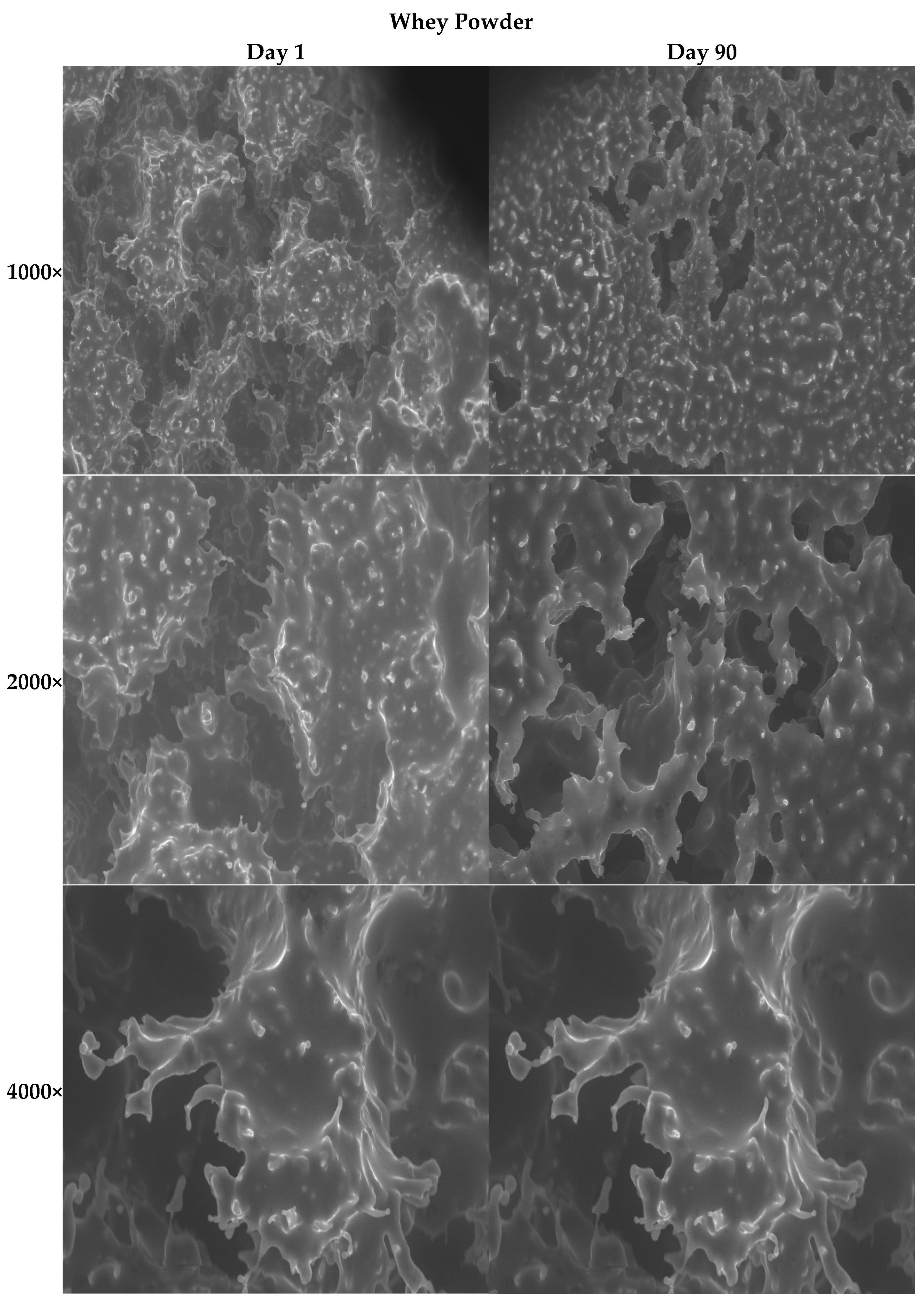 Processes 13 03803 g003b