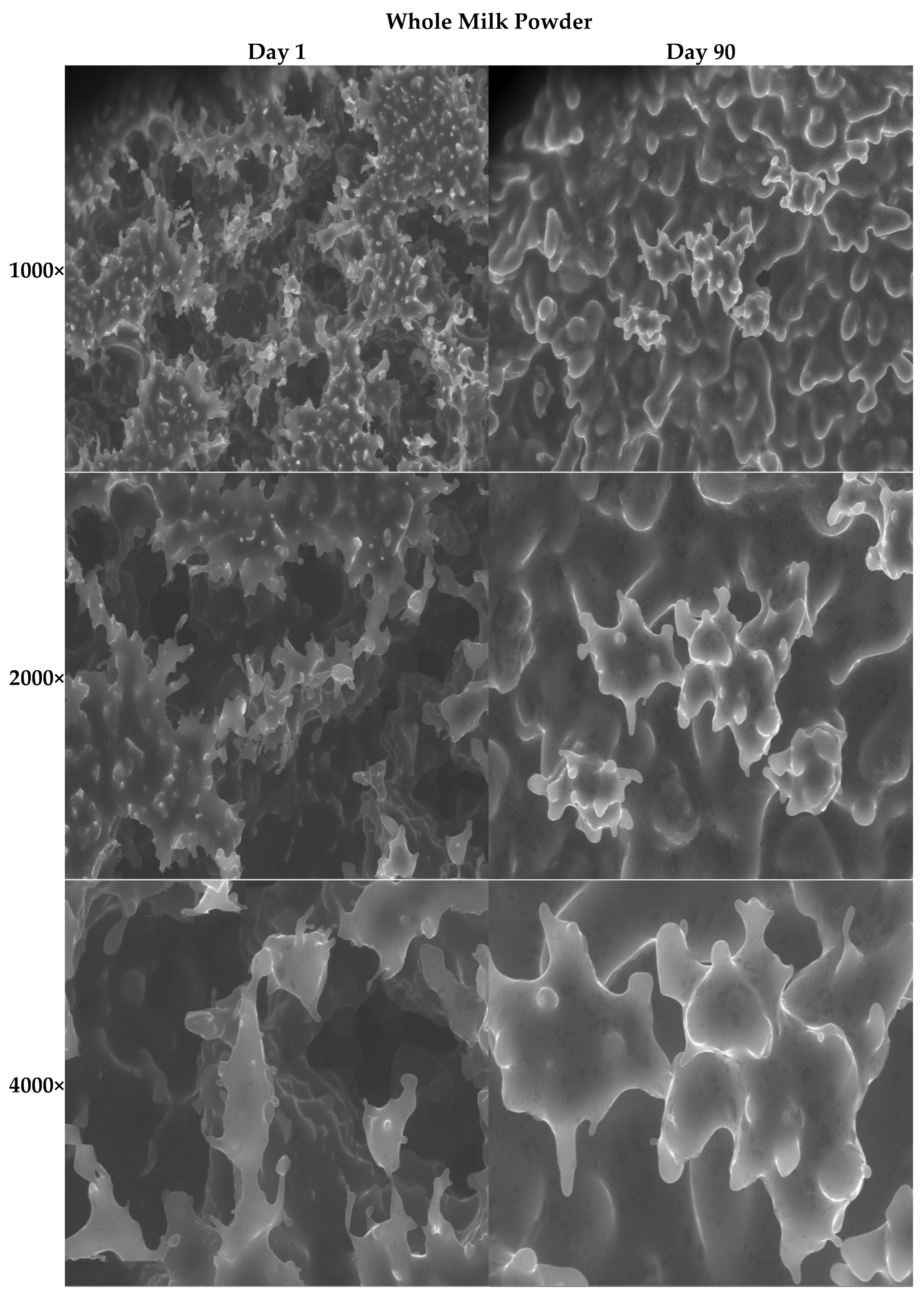Processes 13 03803 g003d