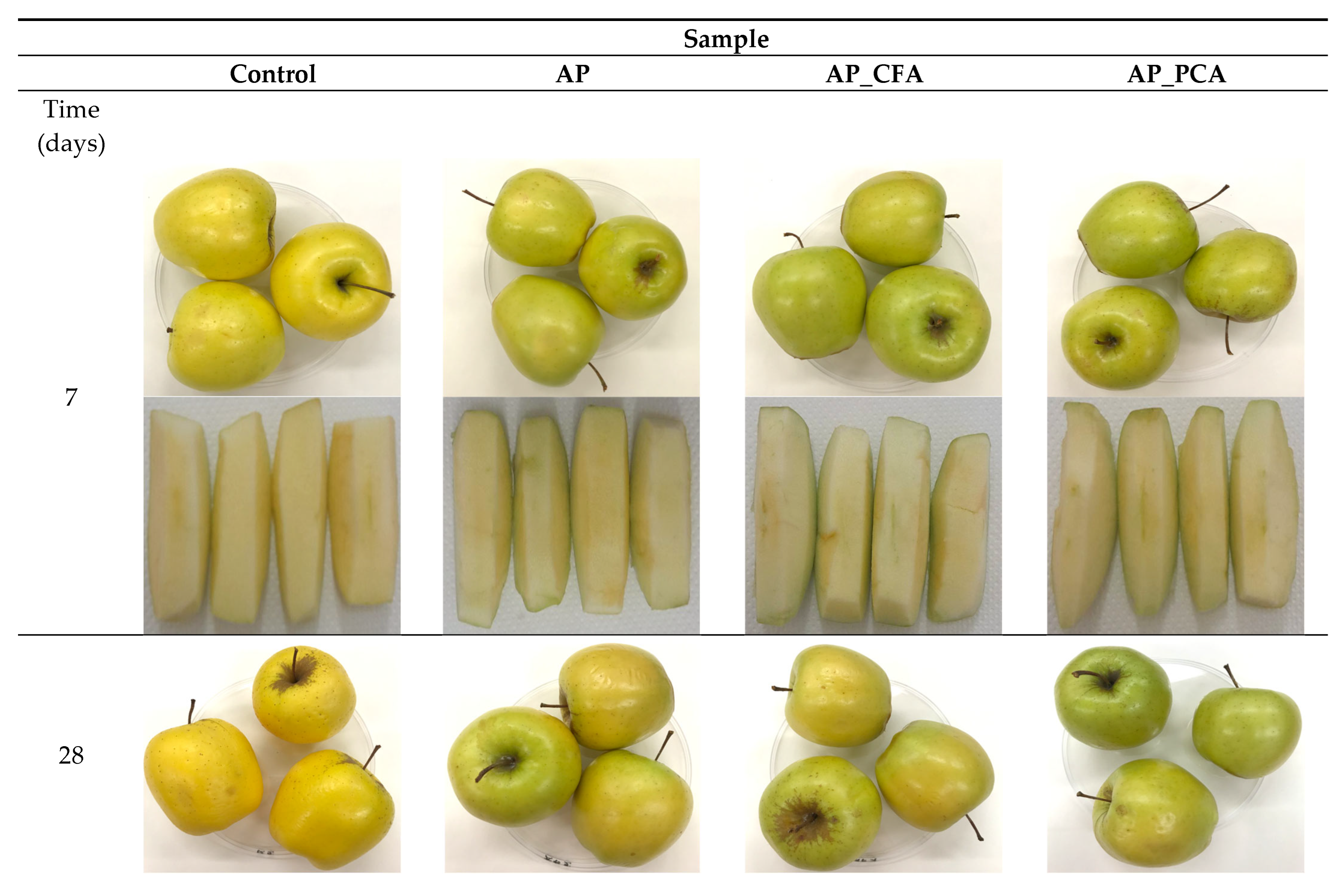 Processes 13 03821 g005a Processes 13 03821 g005a
