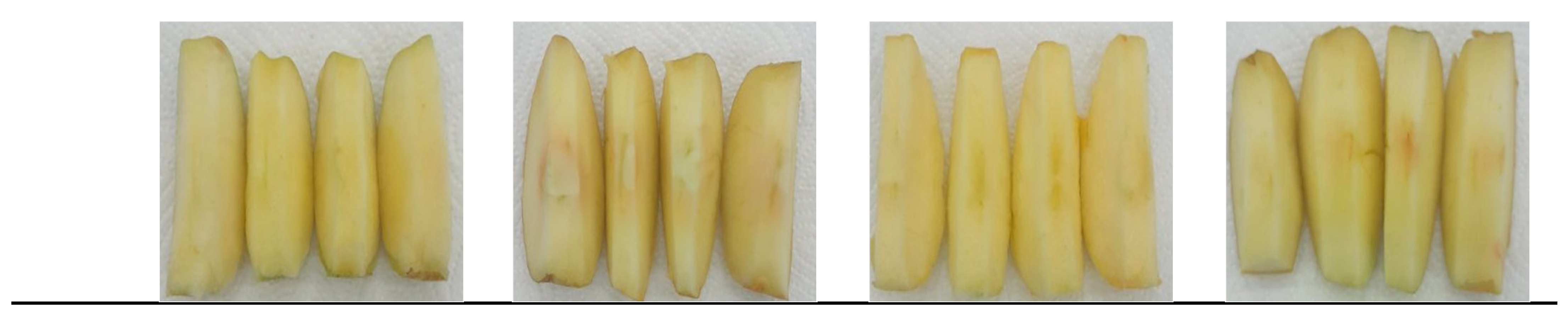 Processes 13 03821 g005b Processes 13 03821 g005b