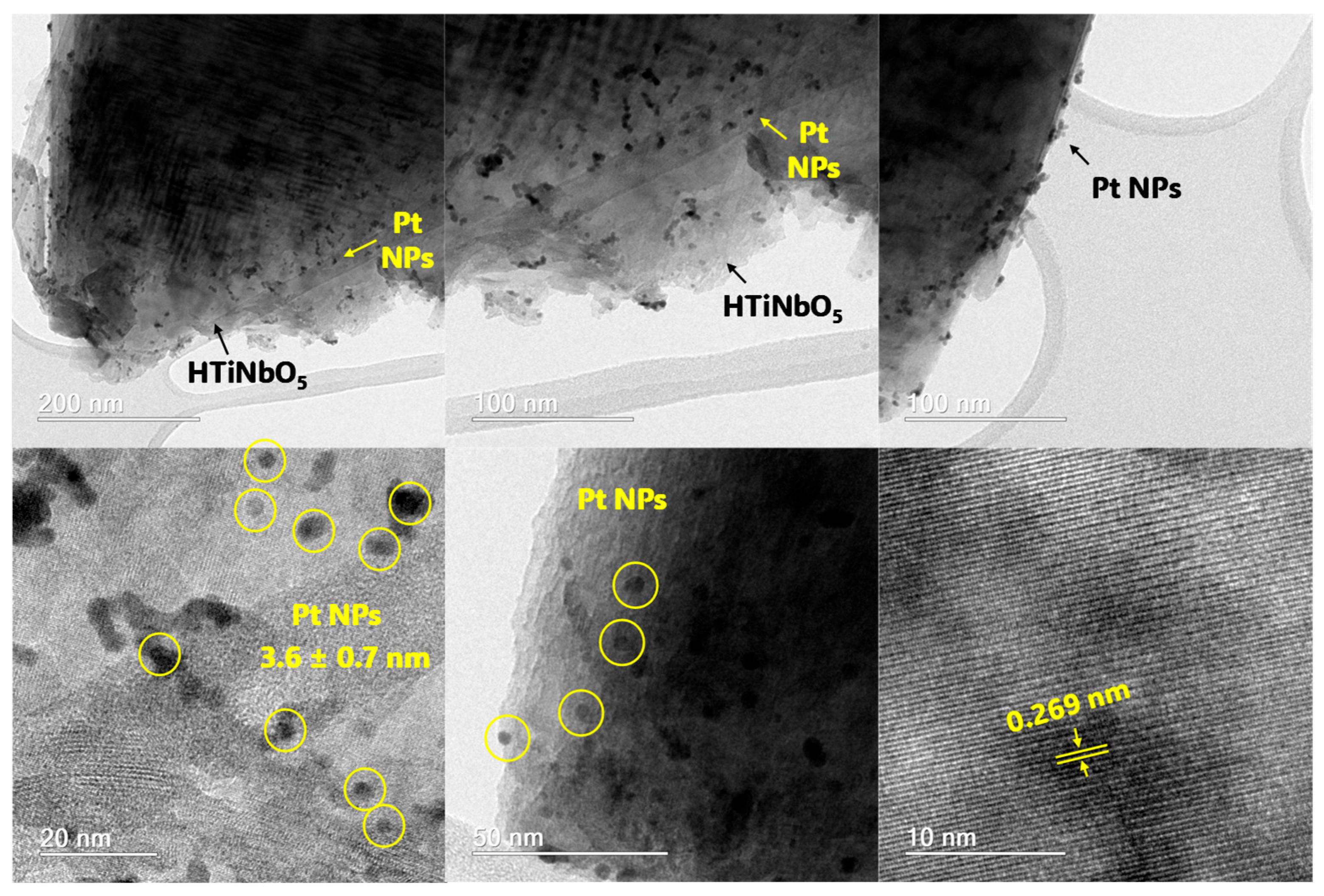 Processes 13 03832 g004