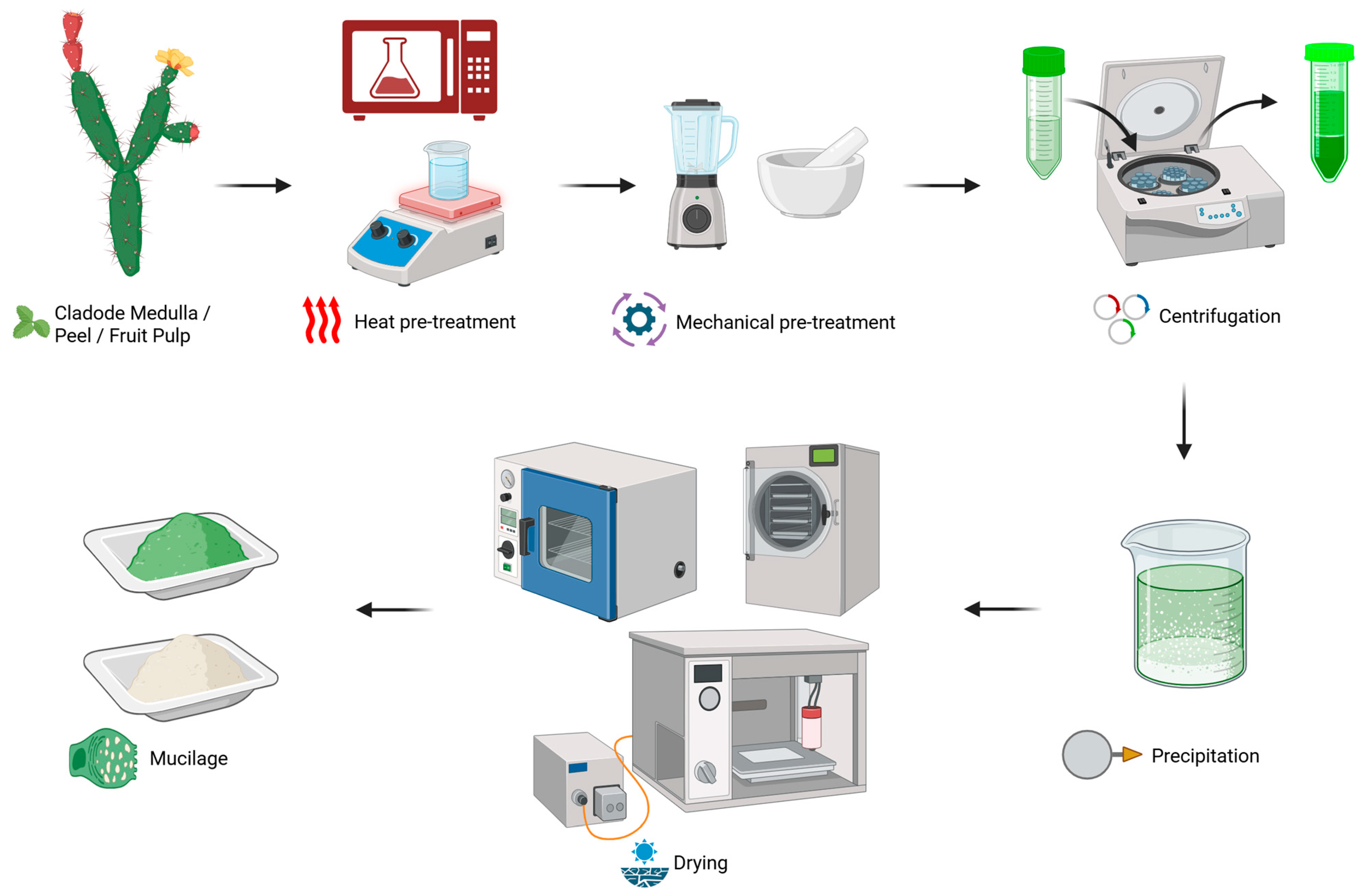 Processes 13 03837 g001