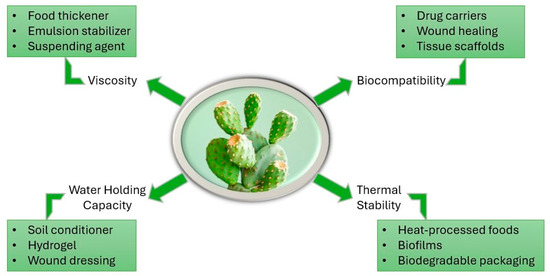 Towards Sustainable Biopolymer Innovation: A Review of Opuntia ficus-indica  Mucilage