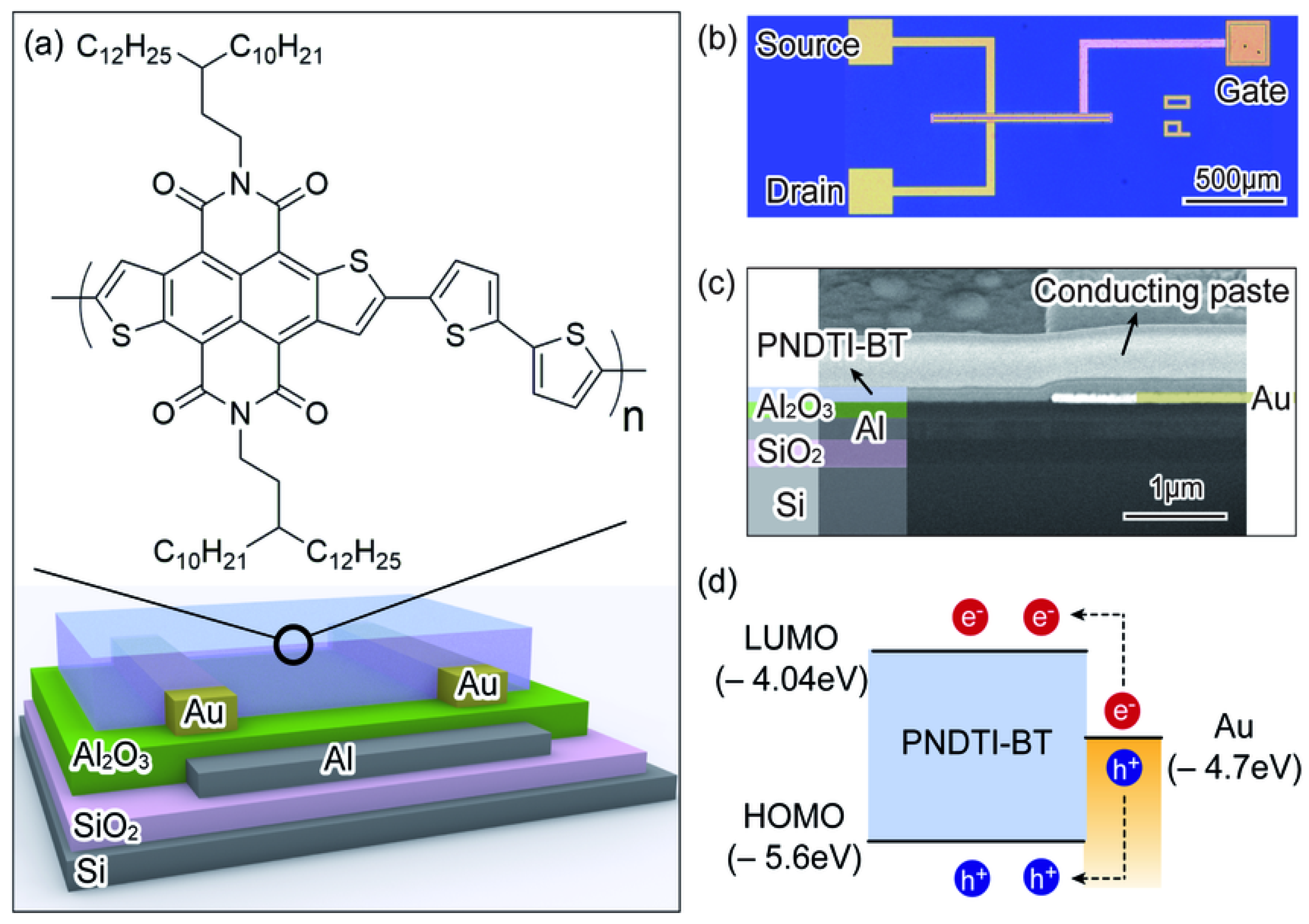 Processes 13 03846 g019
