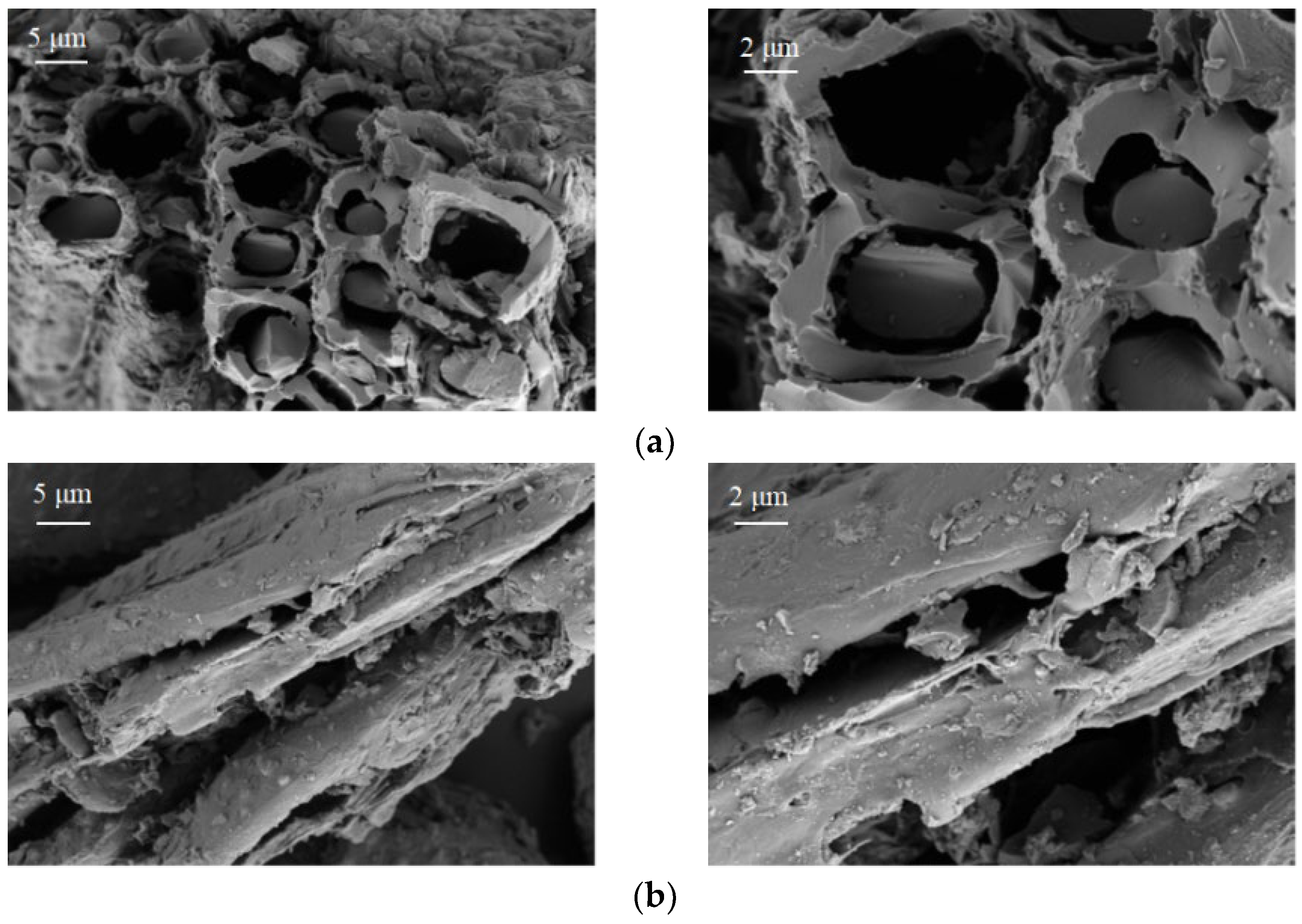 Processes 13 03867 g002