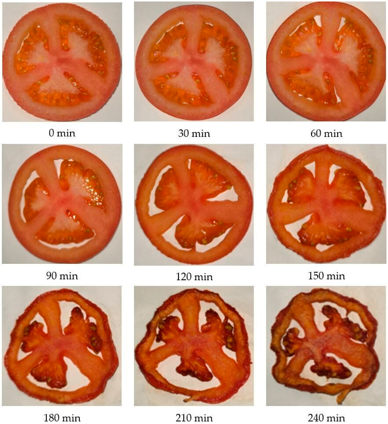 Processes 13 03883 g004