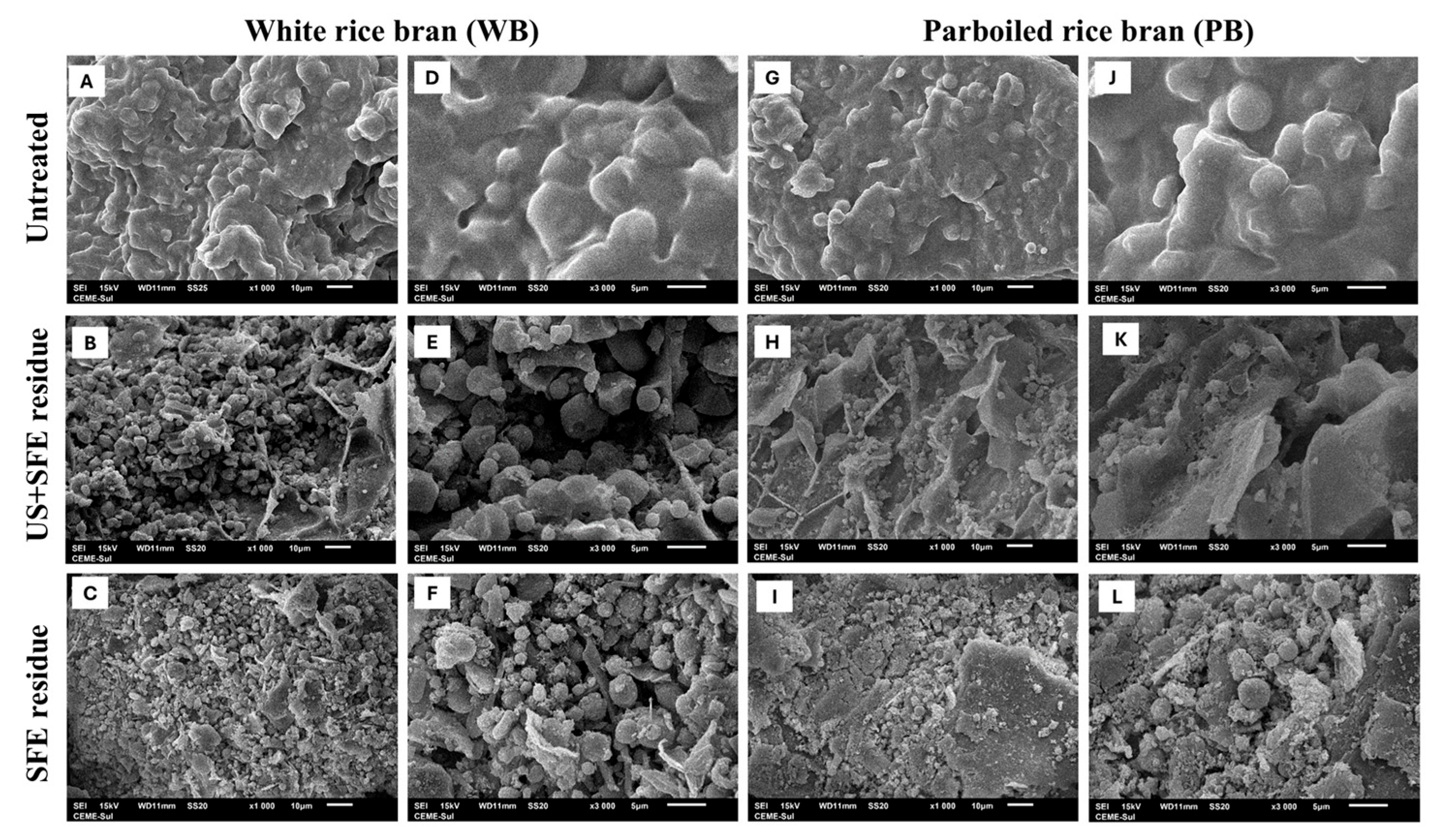 Processes 13 03898 g002 Processes 13 03898 g002