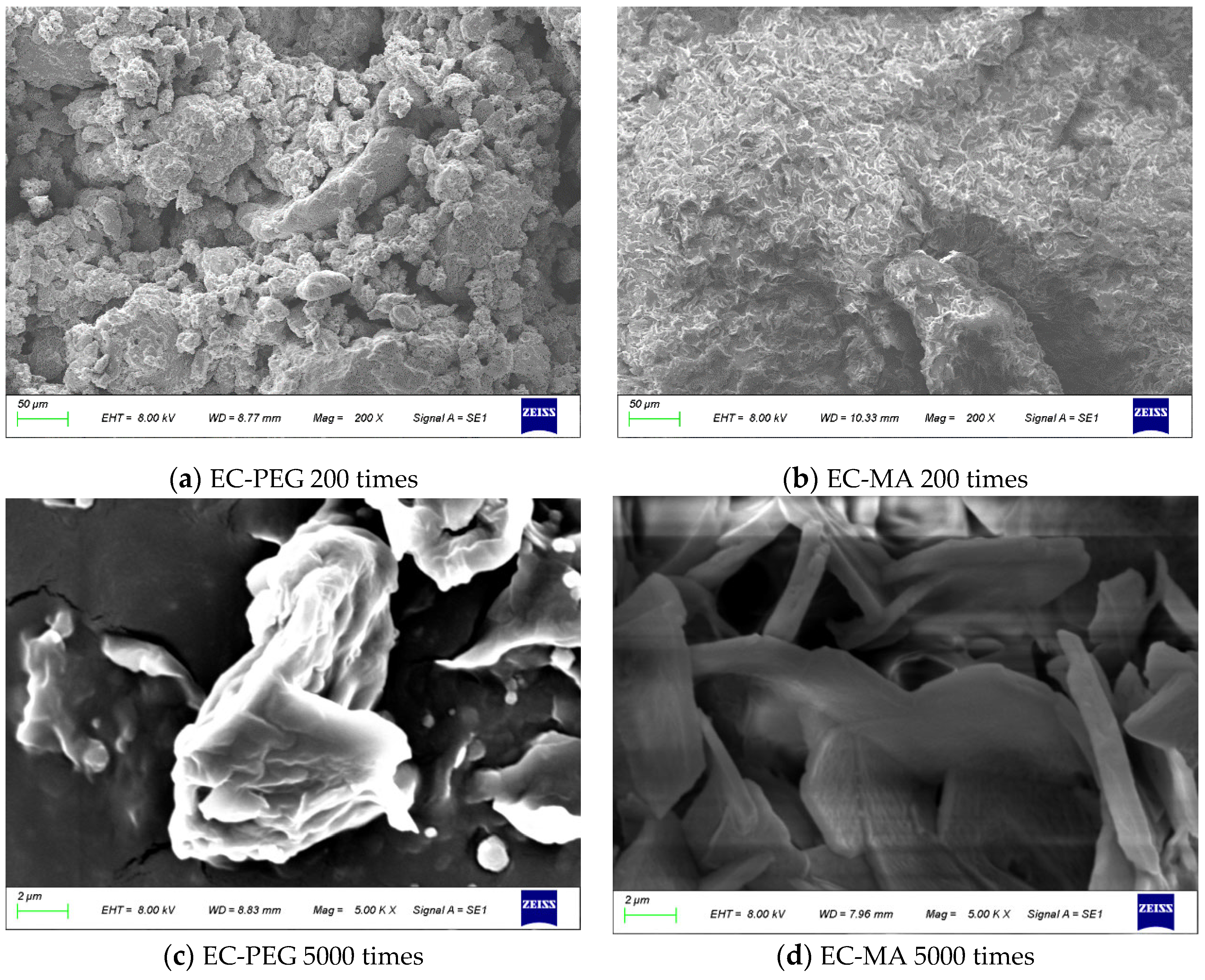 Processes 13 03916 g003 Processes 13 03916 g003