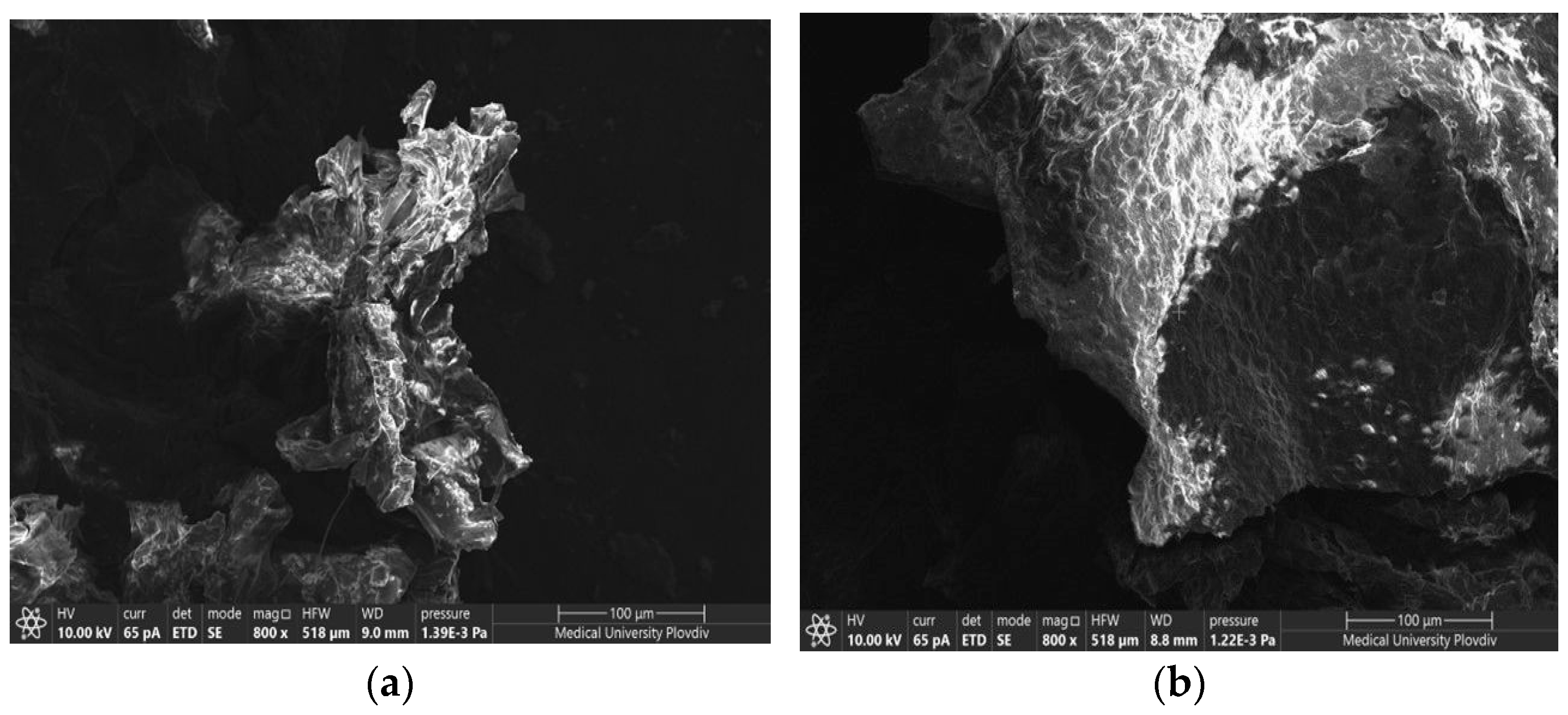 Processes 13 03920 g001 Processes 13 03920 g001