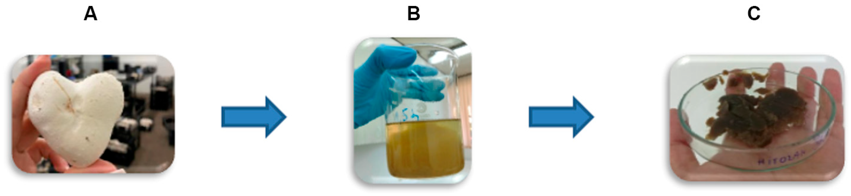 Processes 13 03937 g001