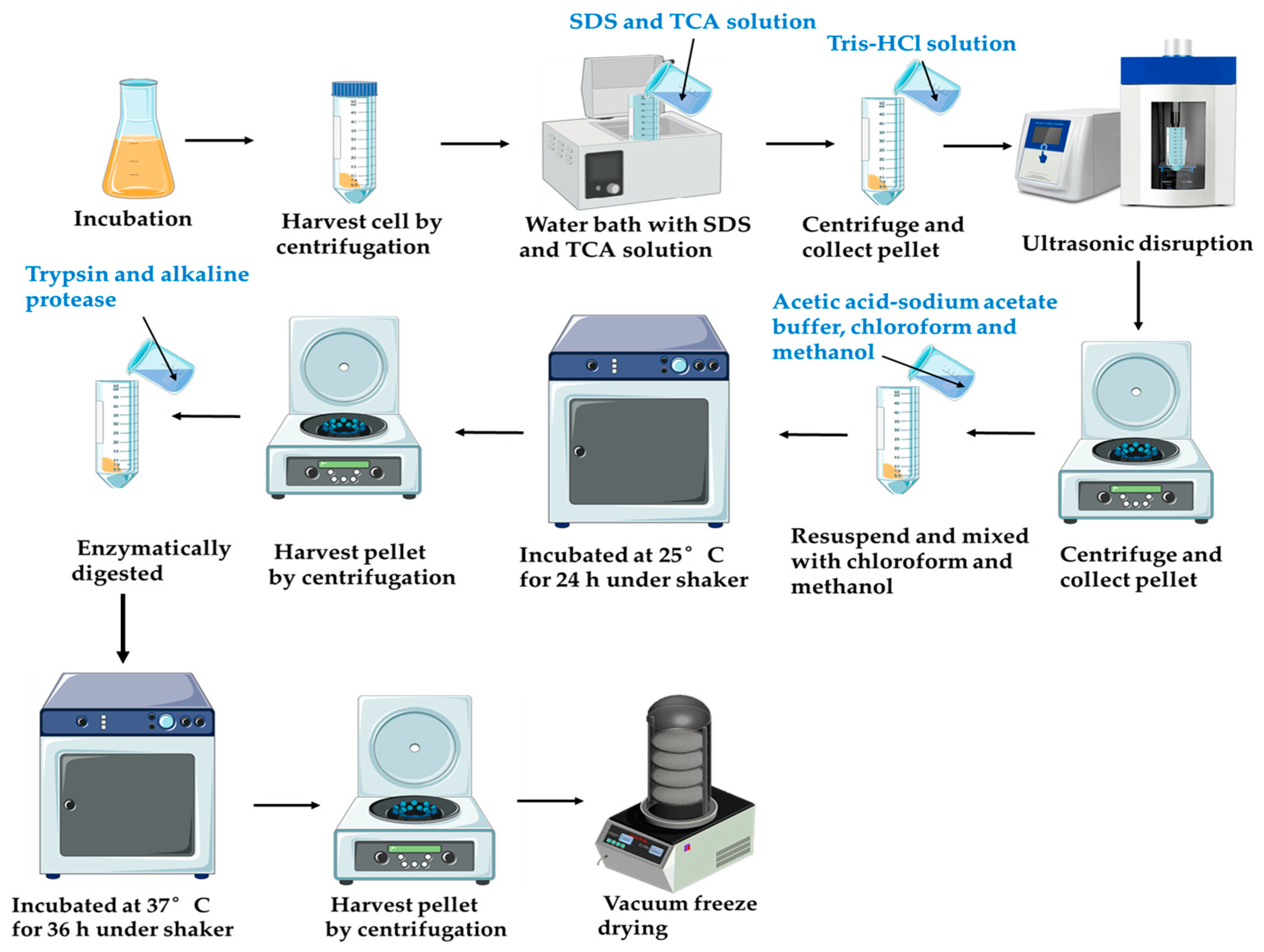 Processes 13 03978 g001 Processes 13 03978 g001