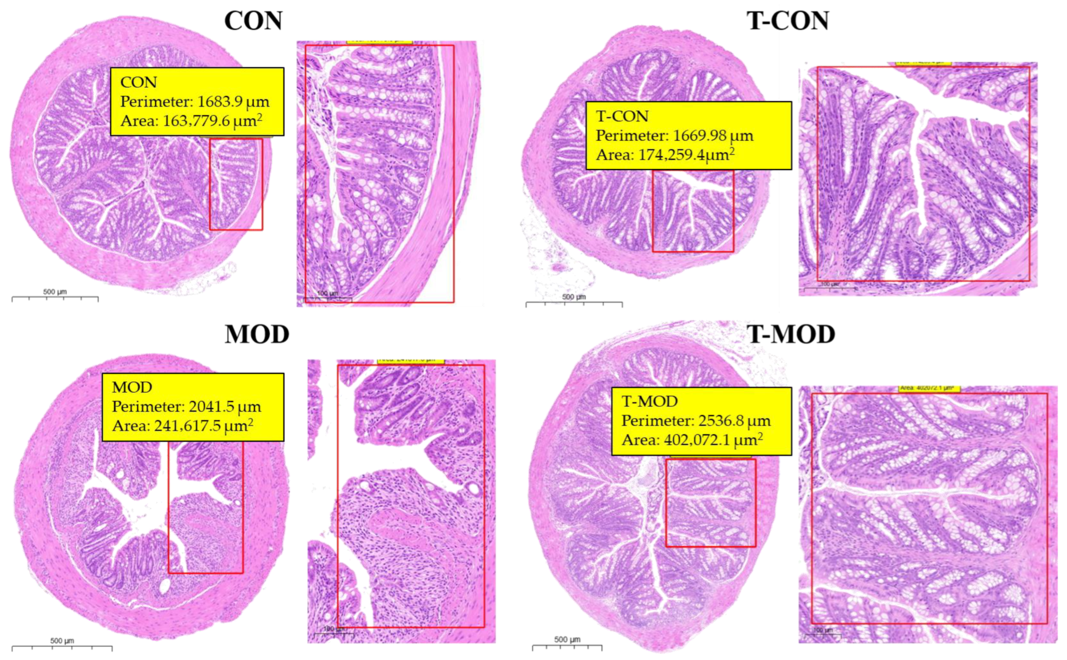 Processes 13 03978 g005 Processes 13 03978 g005