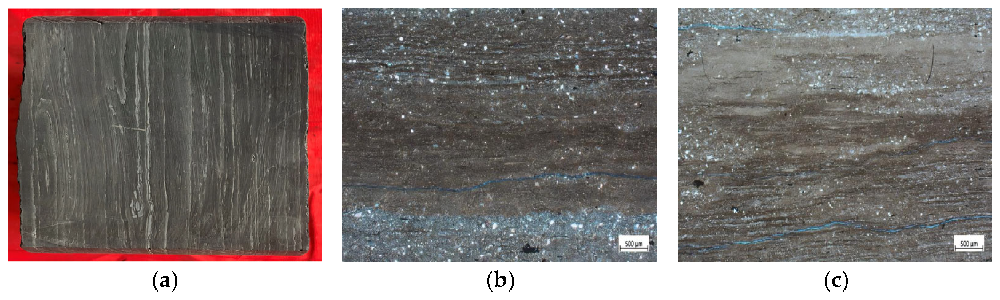 Processes 13 04004 g001