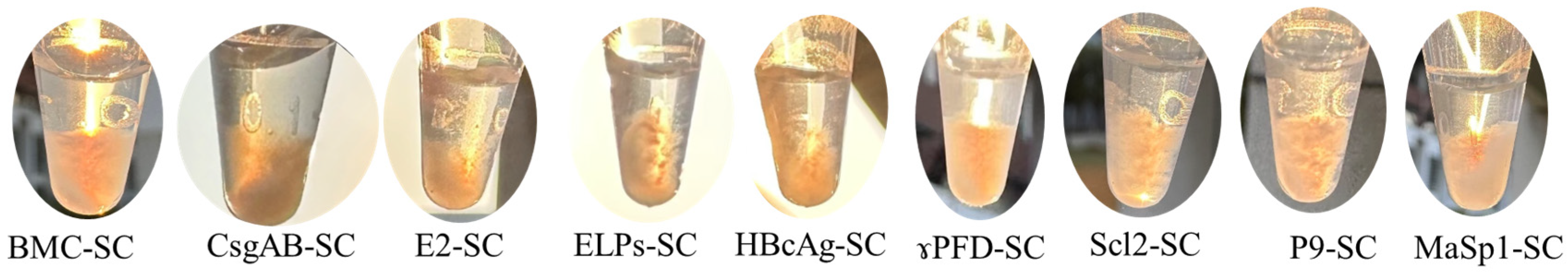 Processes 13 04009 g001 Processes 13 04009 g001