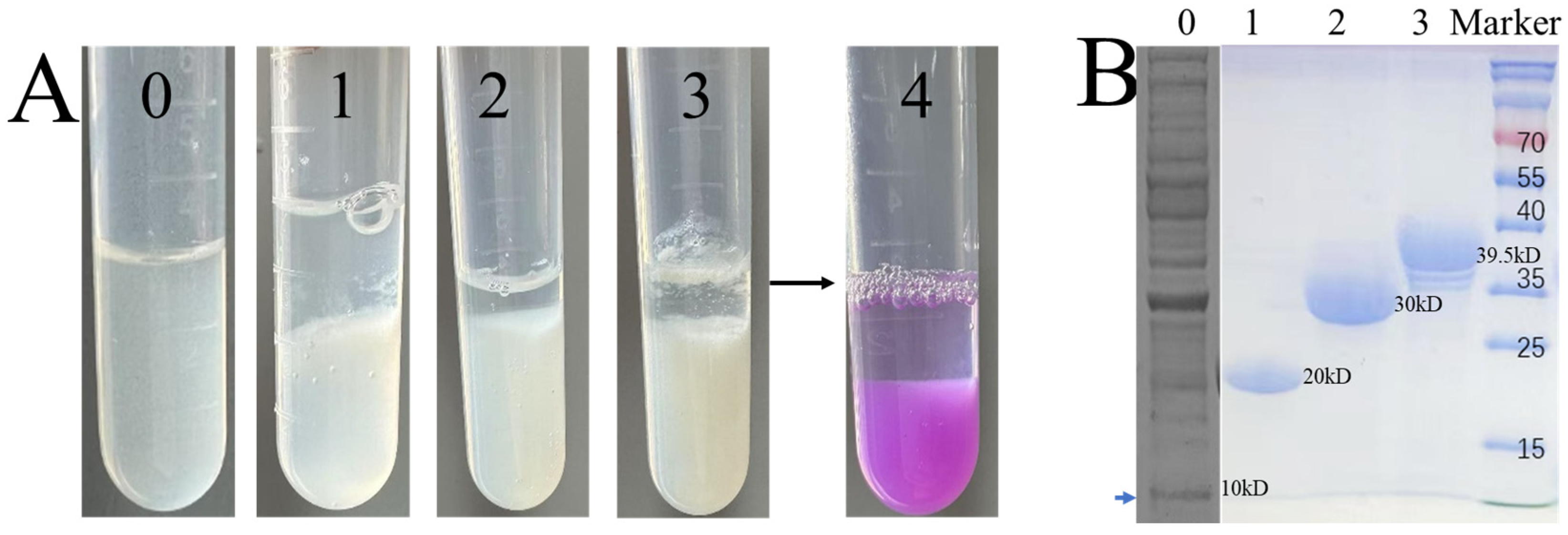 Processes 13 04009 g002 Processes 13 04009 g002