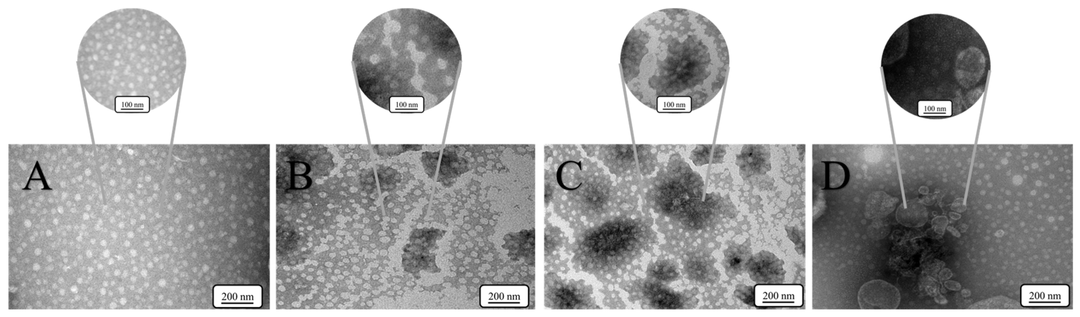 Processes 13 04009 g004 Processes 13 04009 g004