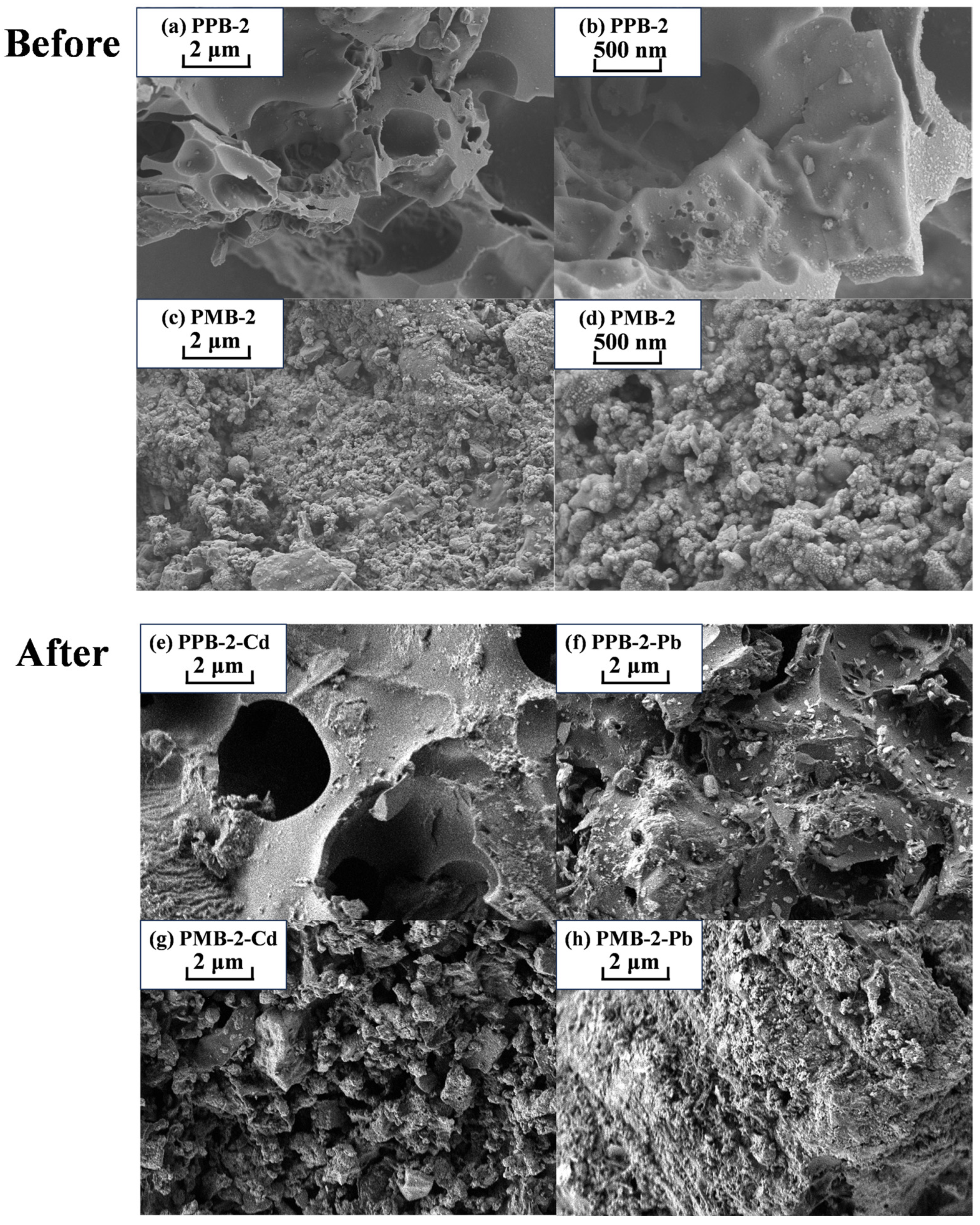 Processes 13 04029 g007 Processes 13 04029 g007