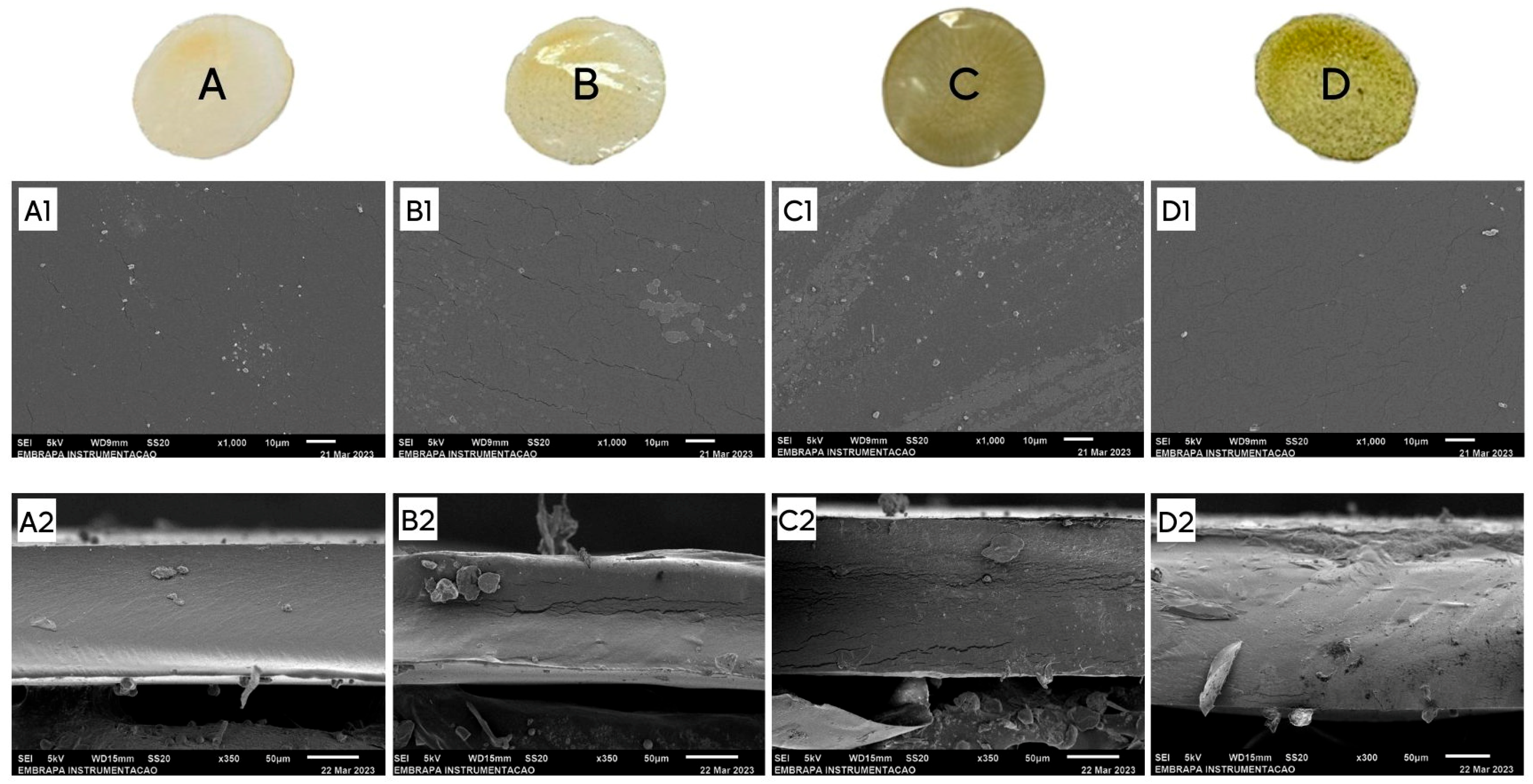 Processes 13 04037 g005