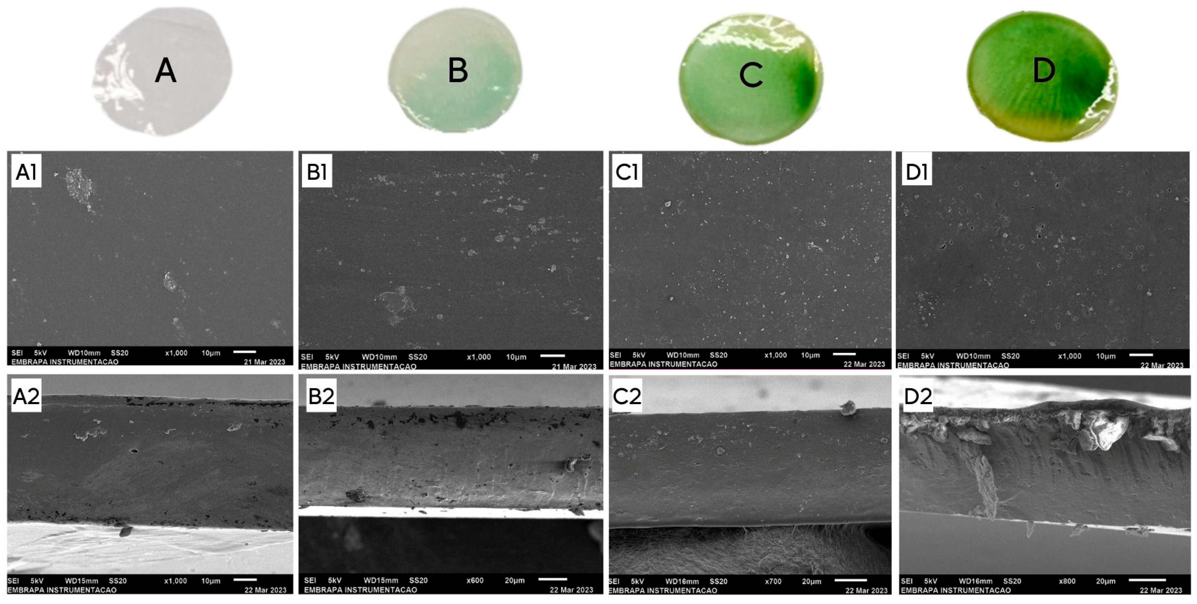Processes 13 04037 g006